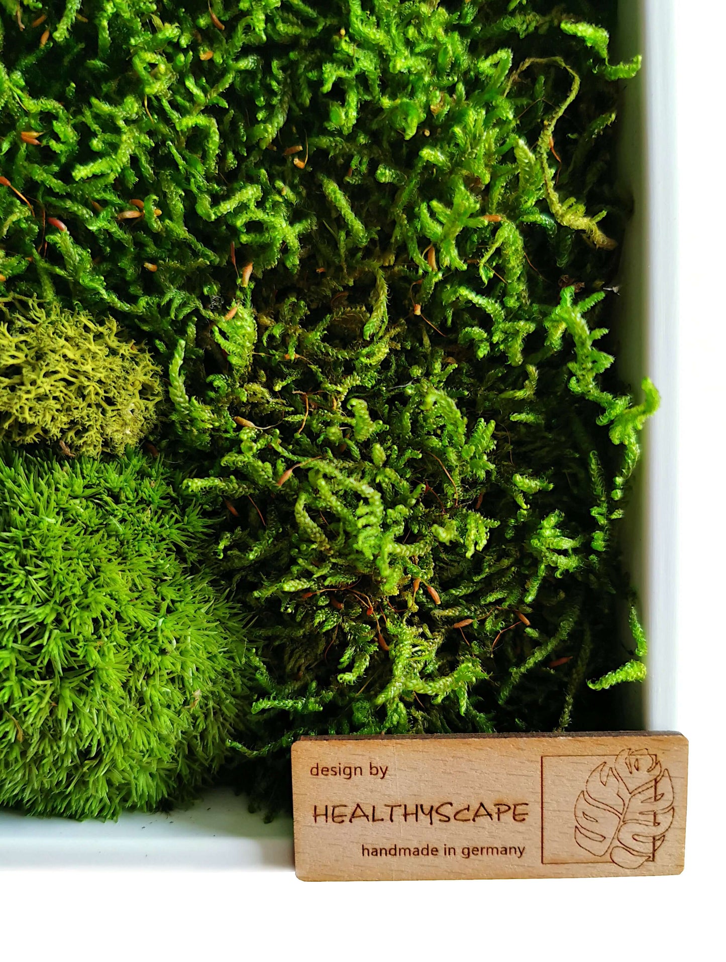 Detailaufnahme eines Moosarrangements von HEALTHYSCAPE, handgefertigt in Deutschland, mit grünem Moos und Holzschild.