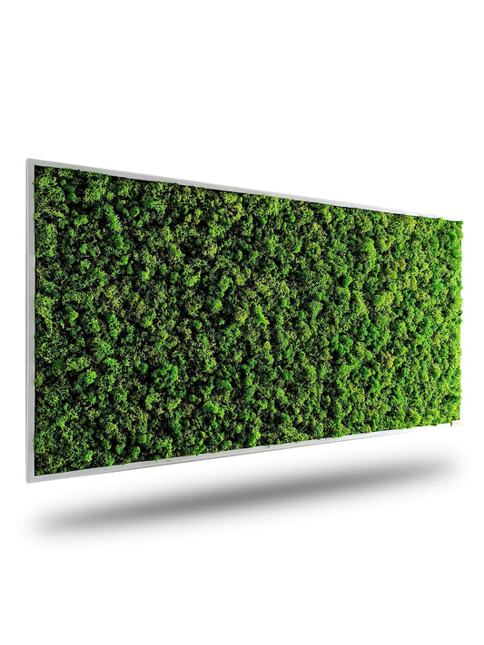 Moosbild Rentiermoose "Mangrovenwälder" aus Islandmoos, natürliche Wanddekoration für gemütliche Räume.