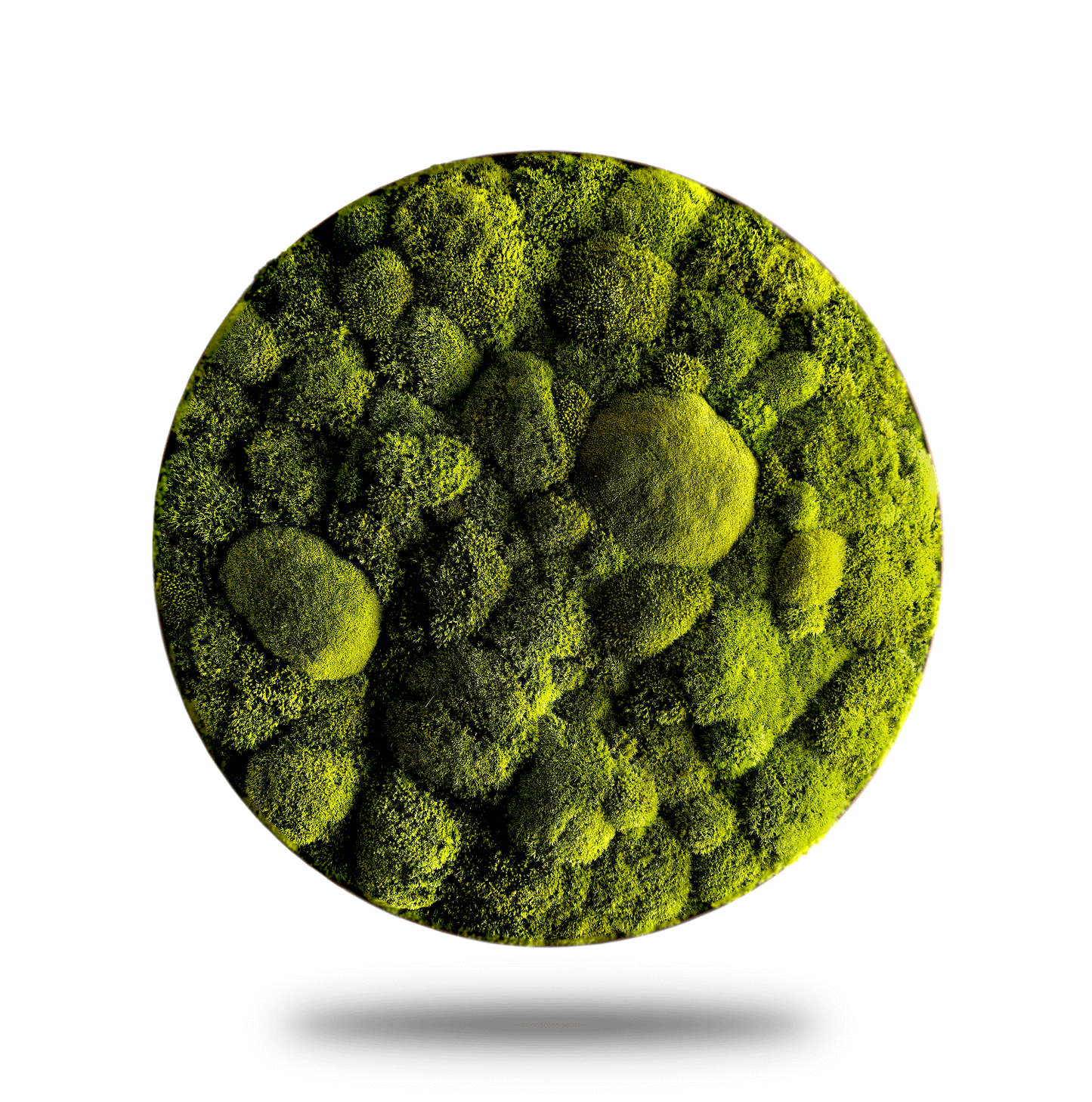 Moosbild mit runden Rahmen "Lime Green" in Limonengrün, dekorative grüne Mooslandschaft für Zuhause.