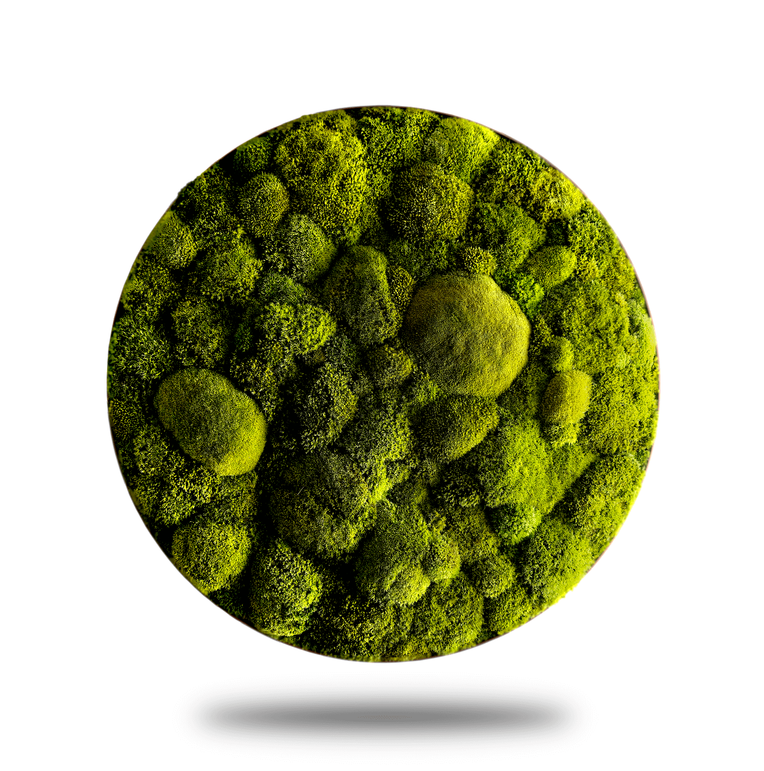 Moosbild mit runden Rahmen "Lime Green" in Limonengrün, dekorative grüne Mooslandschaft für Zuhause.