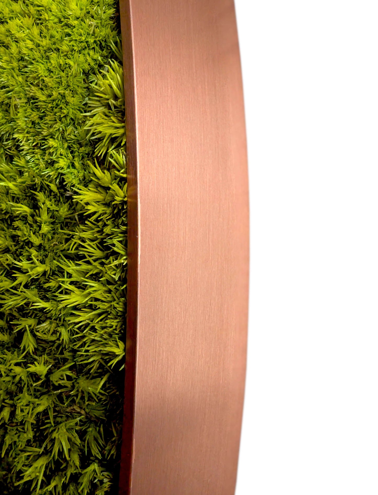 Moosbild mit runder Kupferrahmen und leuchtendem, limonengrünem Moos für natürliche Wanddekoration.