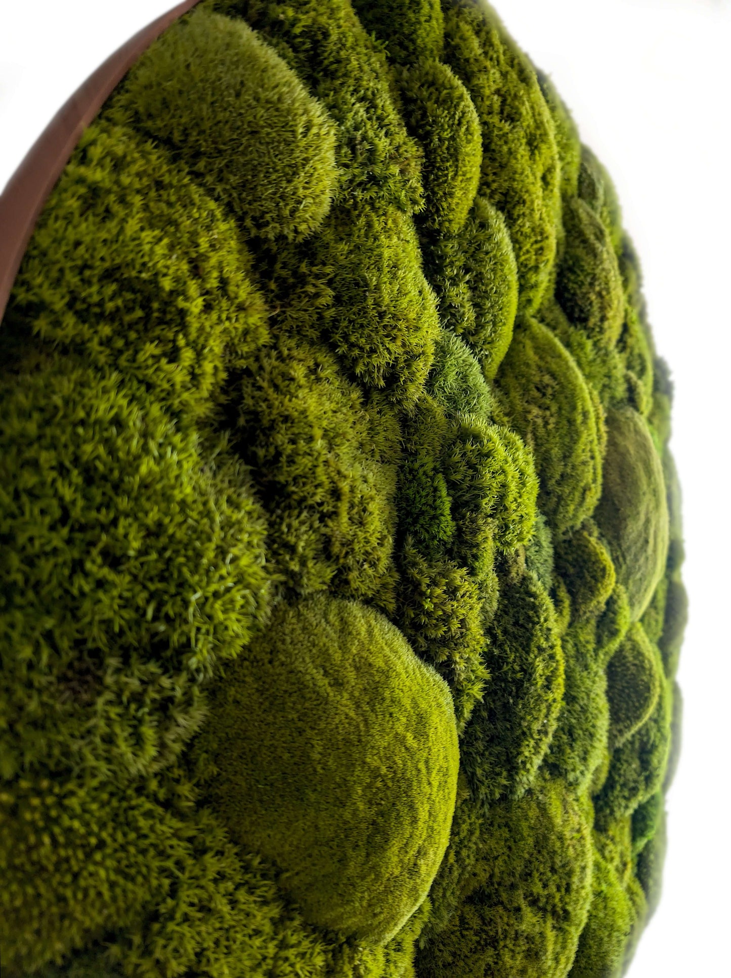 Moosbild mit runden Rahmen in Limonengrün, handgefertigte Wanddekoration aus lebendigen Mooslandschaften.