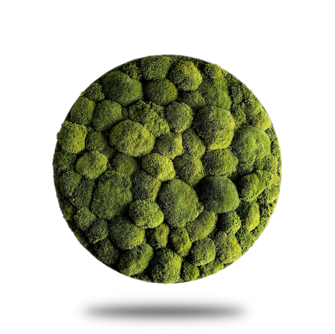 Moosbild mit runden Rahmen in Limonengrün, handgefertigte Wanddekoration mit natürlicher Mooslandschaft.