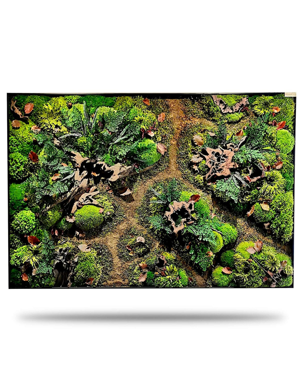Moosbild "Waldpfade Herbst" mit echtem Moos und Wurzeln, das die Schönheit des Herbstwaldes widerspiegelt.
