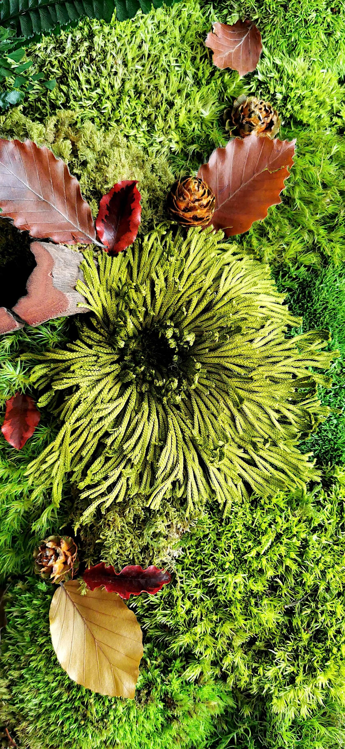 Detail of green moss artwork with autumn leaves and pine cones, evoking a serene forest atmosphere.
