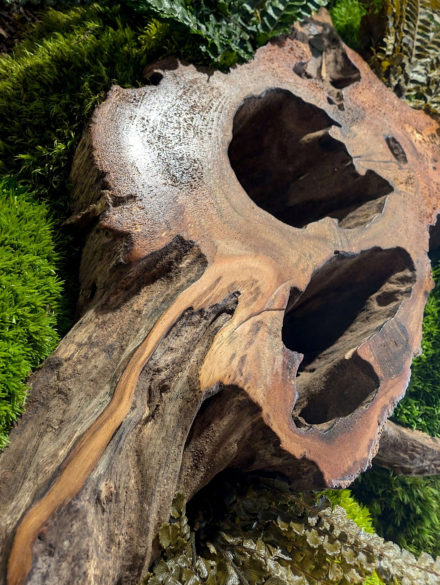 Moosbild mit echtem Holz und Wurzeln, natürliche Waldkunst für ein herbstliches Ambiente.