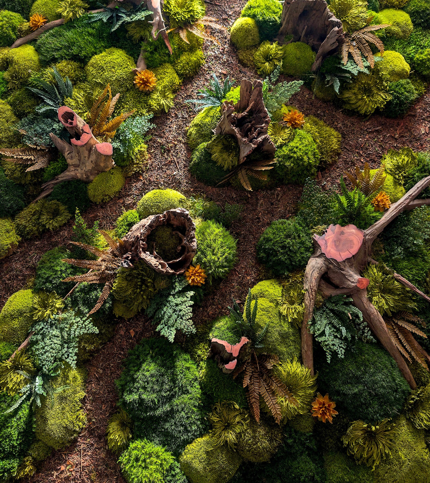 Moosbild mit echten Wurzeln, herbstliche Waldlandschaft in grün und braun, dekoratives Pflanzenkunstwerk.