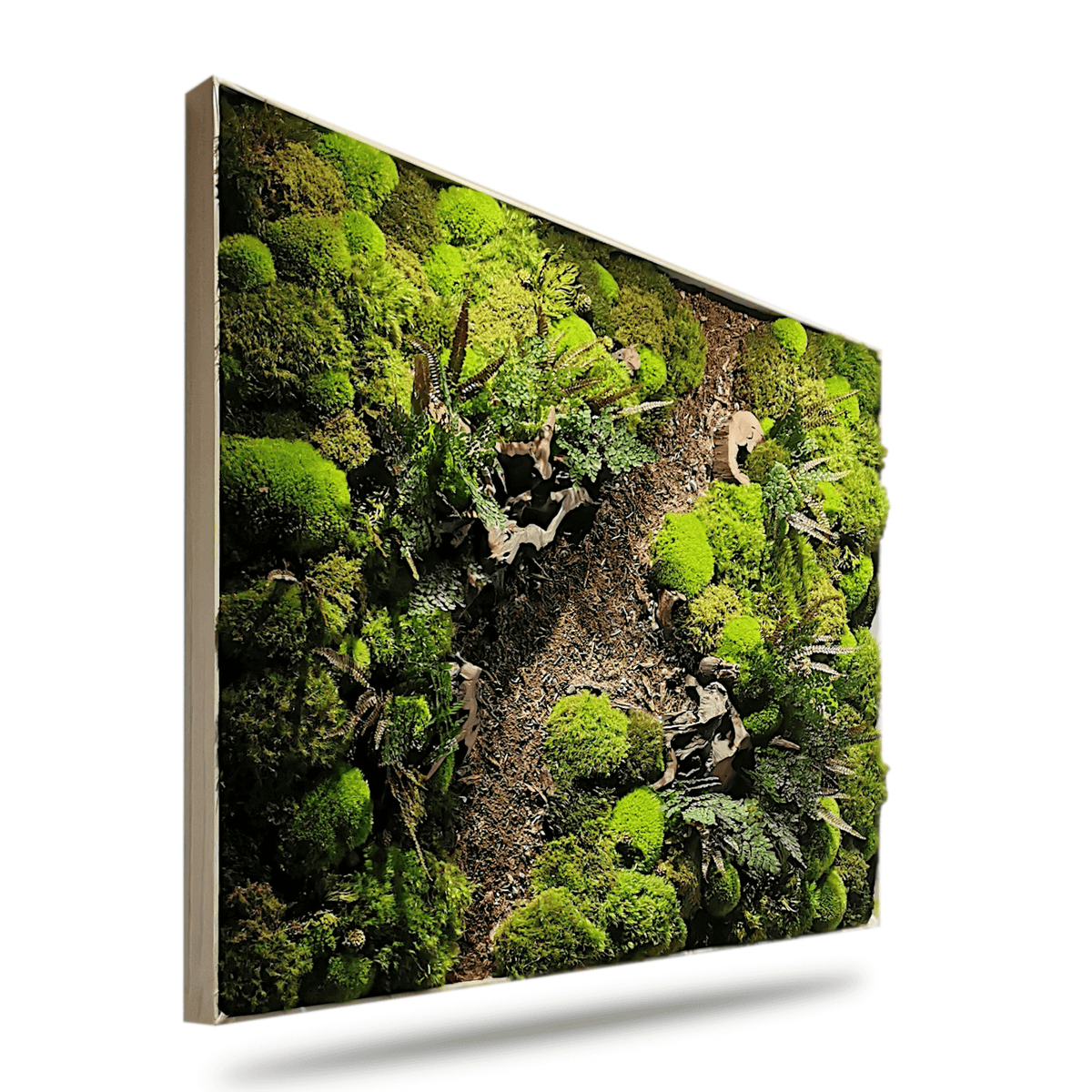 Moosbild "Waldpfade Herbst" mit echten Wurzeln, luxuriöses Naturkunstwerk für Wanddekoration.