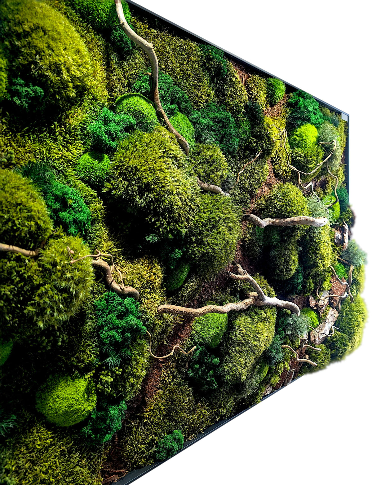 Moosbild "Waldspaziergang" mit Korkenzieher Haselzweigen, handgefertigt für eine entspannende Waldatmosphäre.