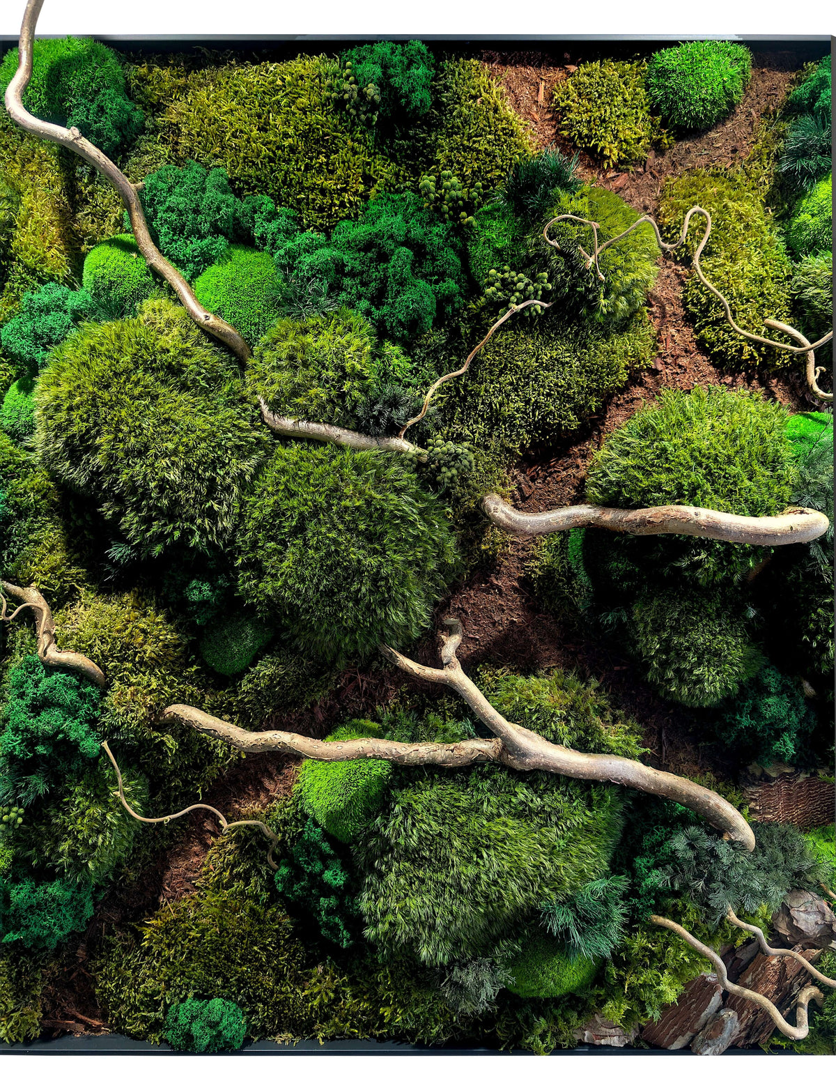 Handgefertigtes Moosbild "Waldspaziergang" mit Korkenzieher Haselzweigen für eine grüne, entspannende Raumgestaltung.