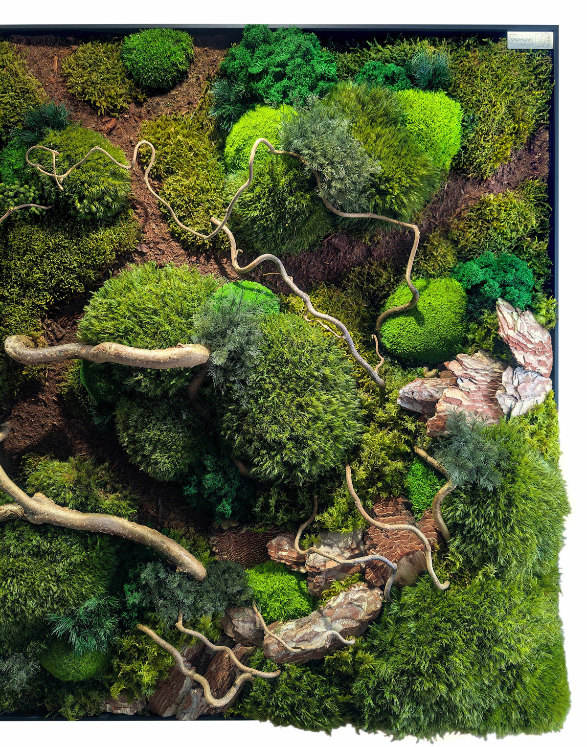 Moosbild "Waldspaziergang" mit Korkenzieher Haselzweigen und grünen Pflanzen im Slim-Rahmen.