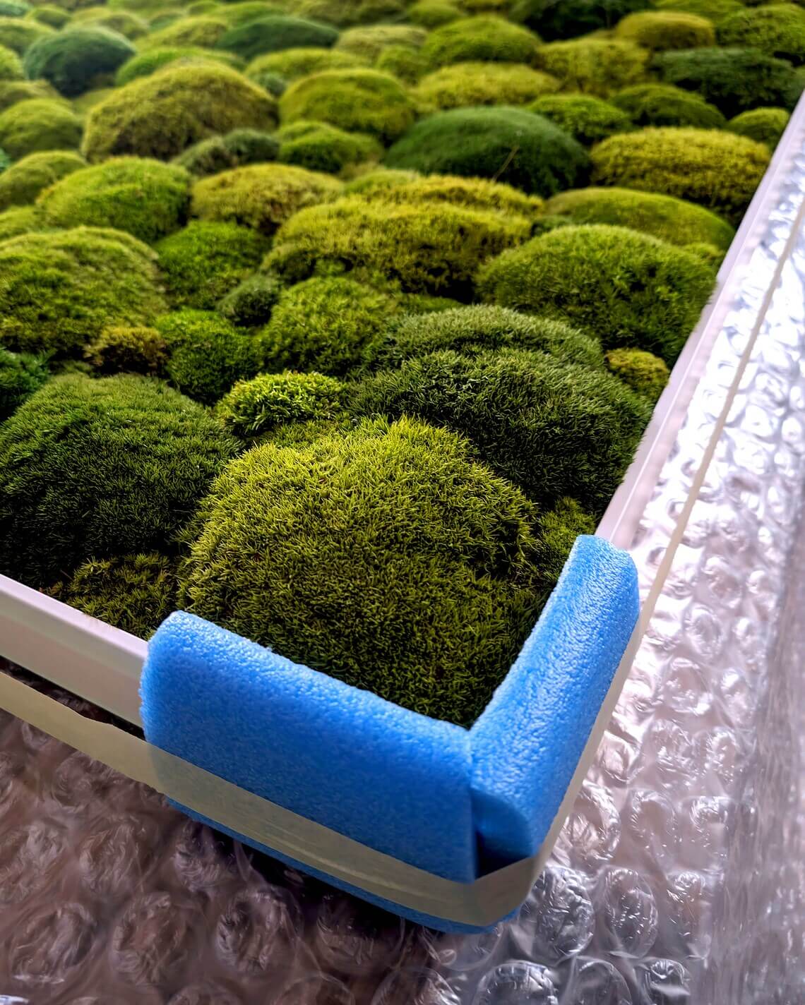 Moosbild XXL "Green Hills" mit konservierten Moosballen in lebendigen Grüntönen, ideal für Wohnzimmer und Küche.