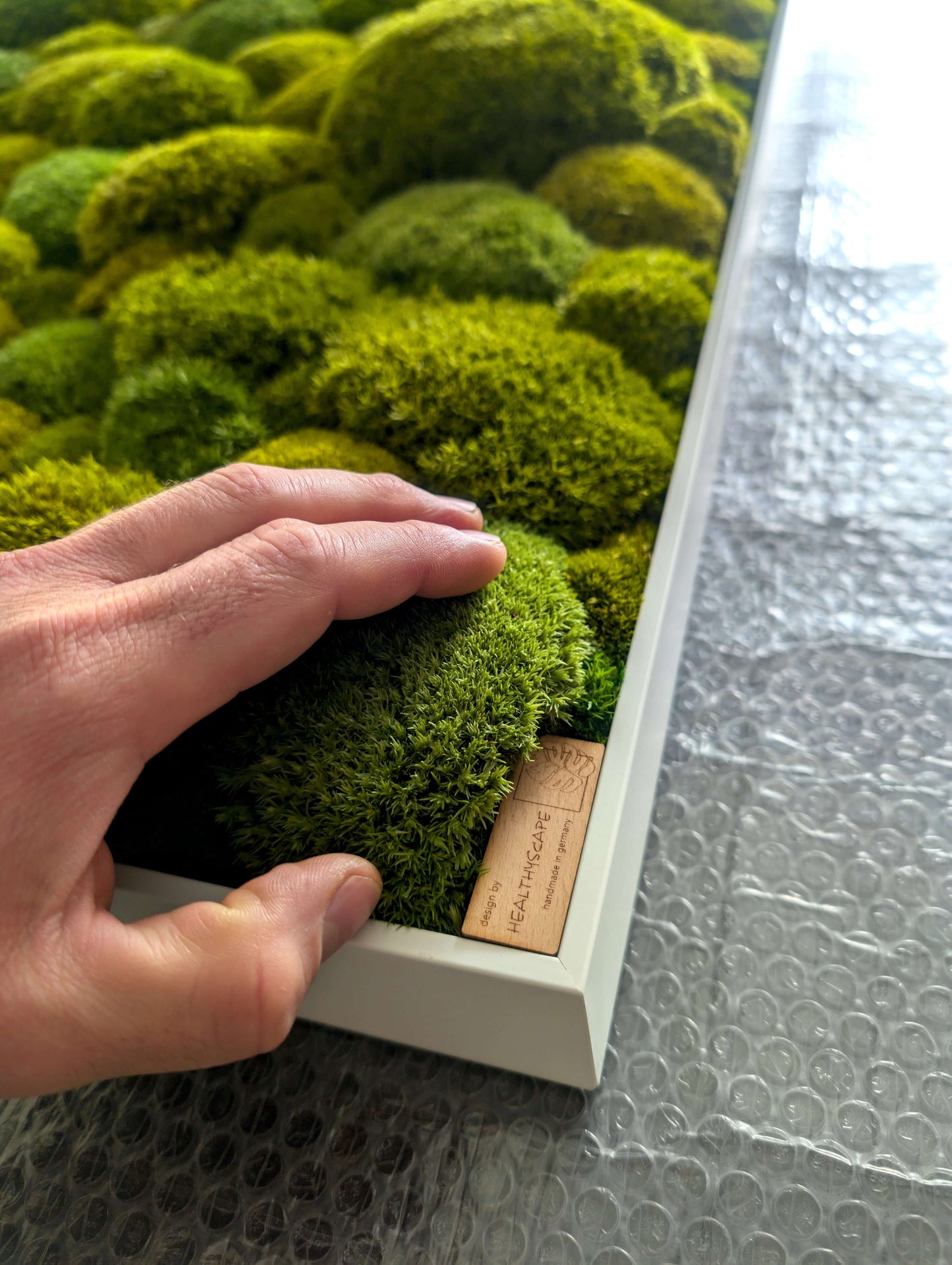 Hand reaching for vibrant green moss in a framed wall art piece, showcasing the natural beauty of preserved moss.