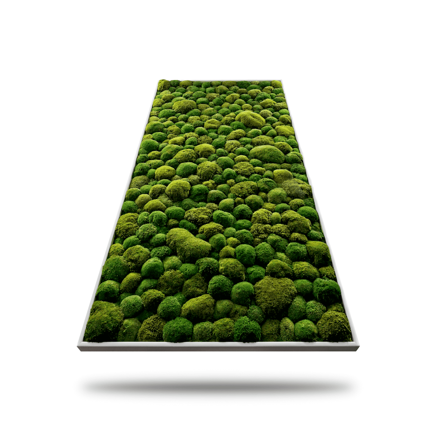 XXL Moosbild "Green Hills" mit lebendigem Moosmix für dekorative Akzente im Wohnzimmer und Küche.