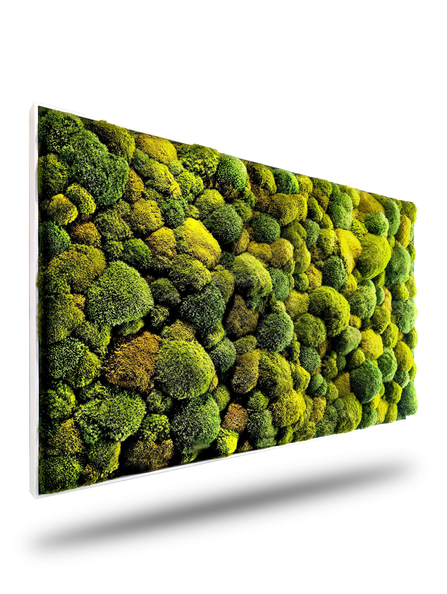 Moosbild XXL "Green Hills" aus echtem Moosmix, ideal für Wohnzimmer und Küche, pflegeleicht und lebendig.