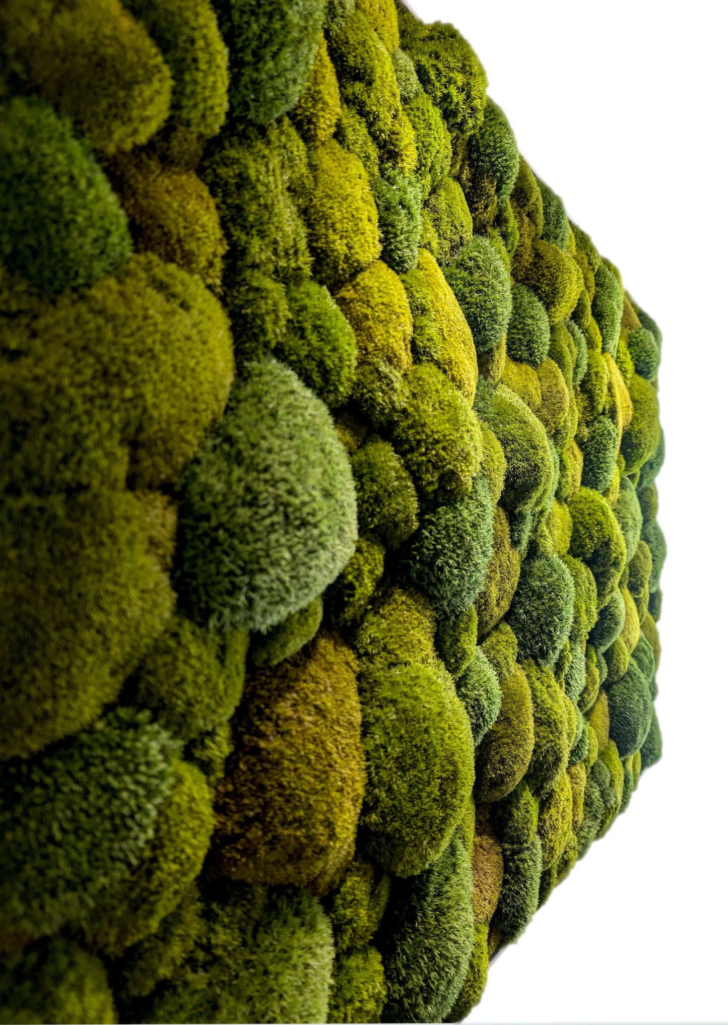 Moosbild XXL 'Green Hills' mit lebendigen, konservierten Moosen für Wohnzimmer und Küche.