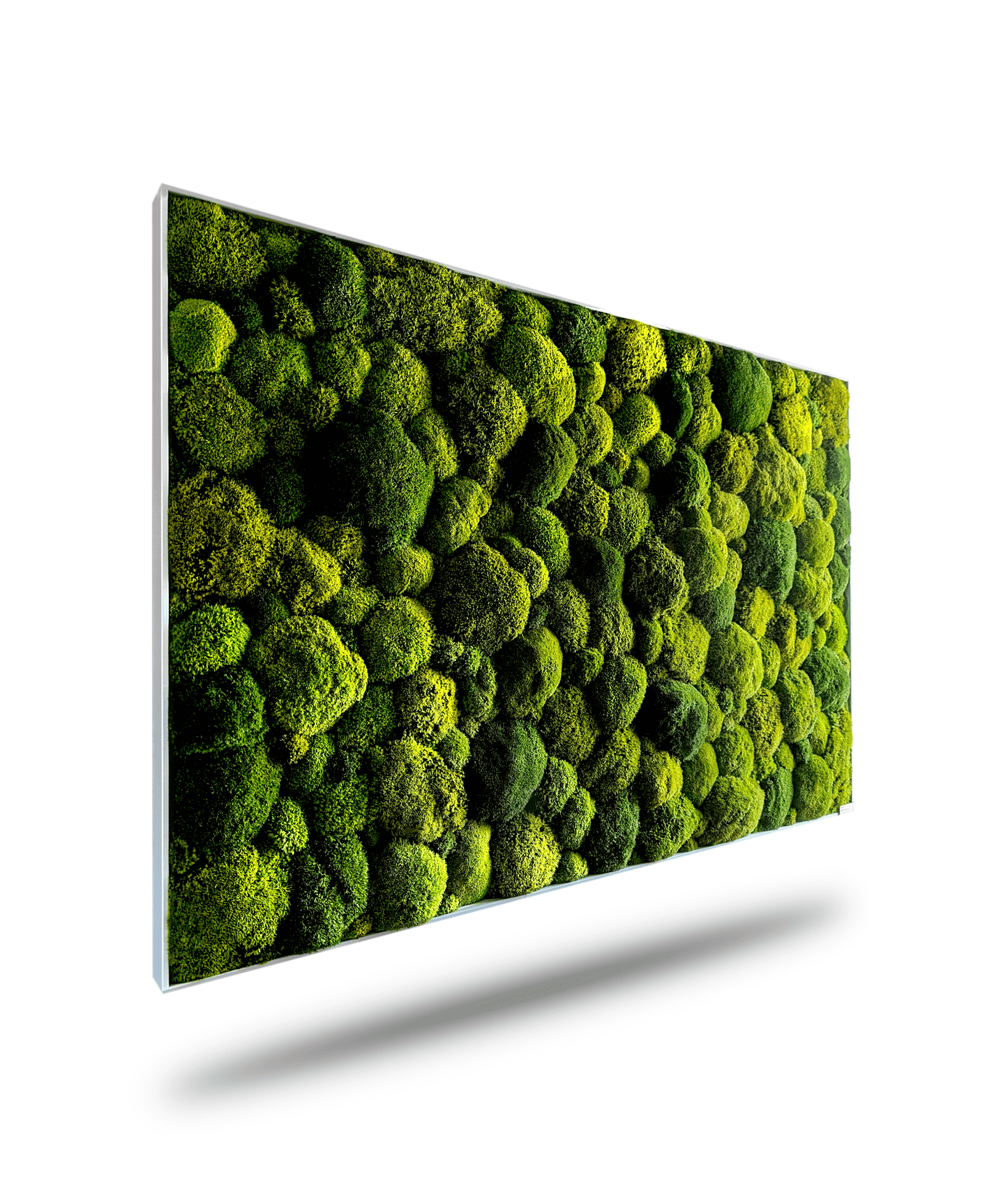 Moosbild XXL 'Green Hills' mit lebendigem Moosmix, ideal für Wohnzimmer und Küche, pflegeleicht und naturgetreu.