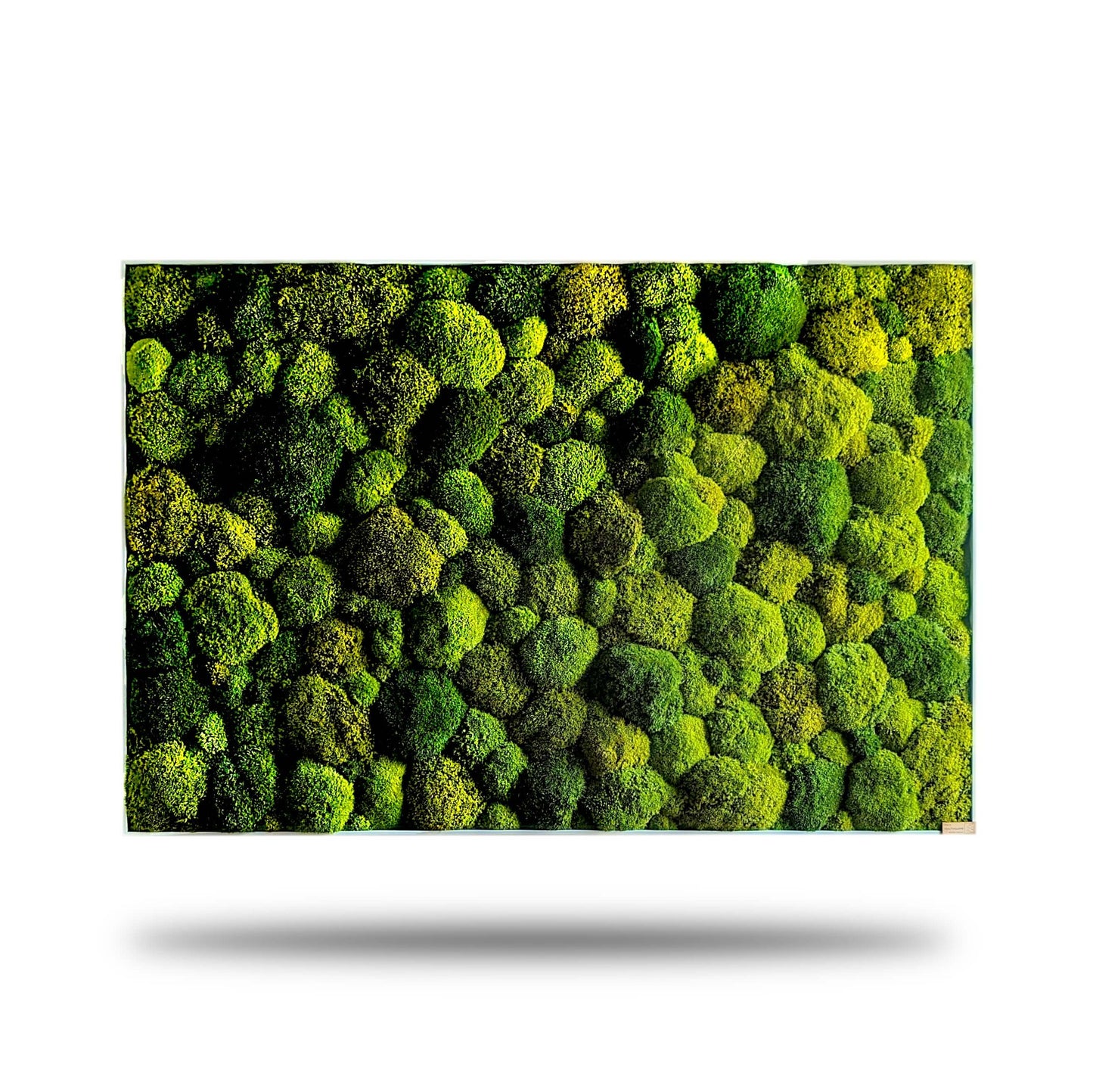 Moosbild XXL "Green Hills" mit lebendigem Moosmix für Wohnzimmer und Küche, ideale Wanddekoration.