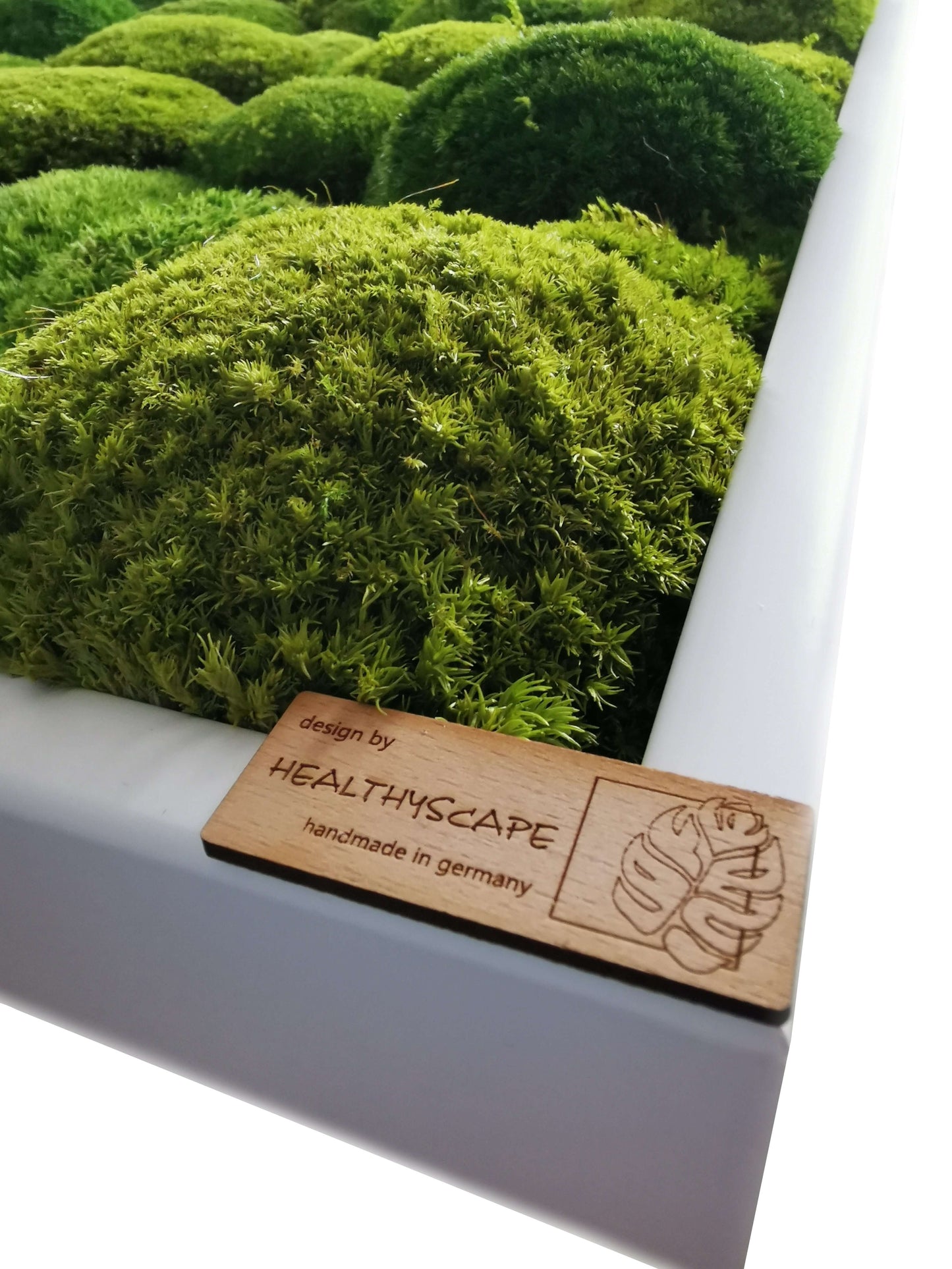 Moosbild XXL "Green Hills" von HEALTHYSCAPE, handgefertigt in Deutschland, mit lebendigem Moosmix für Ihr Zuhause.