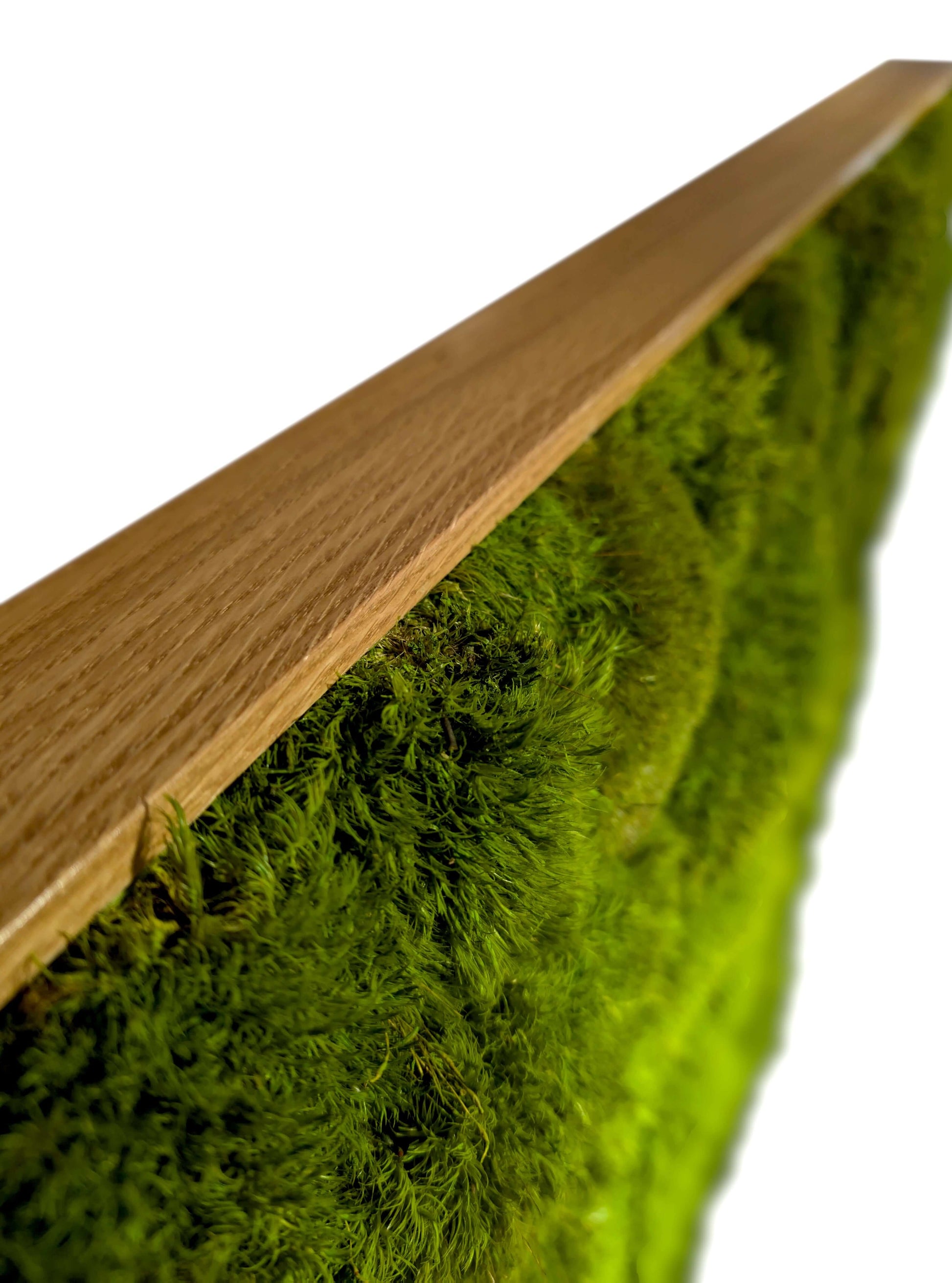 Natürliches Moosbild "Green Provence" mit echtem Provence Moos und modernem Echtholzrahmen in frischem Grün.