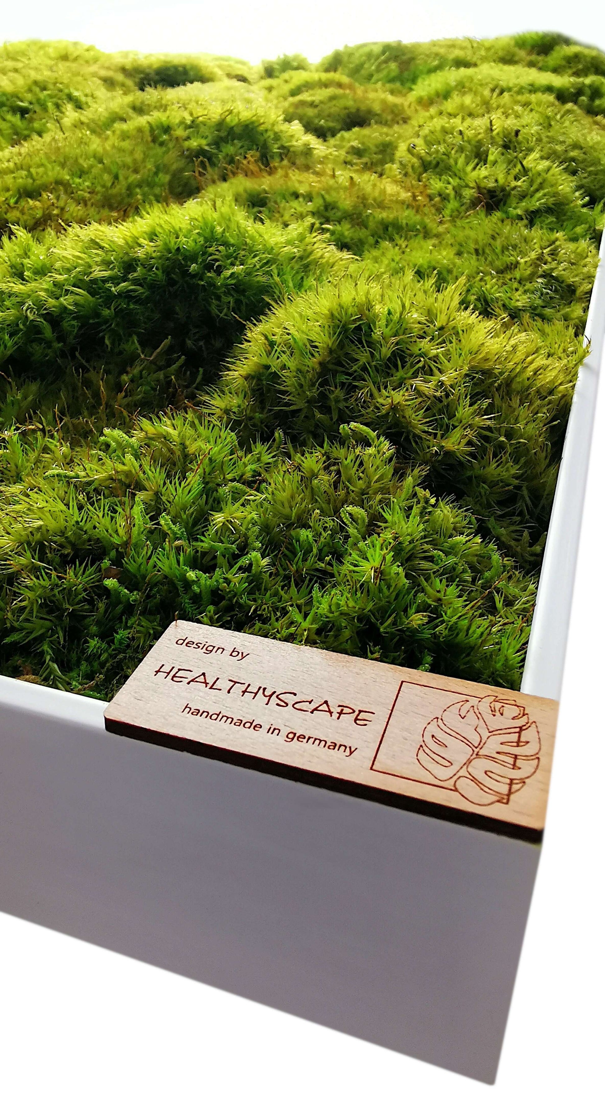 Natürliches Moosbild "Green Provence" in frischem Grün mit Echtholzrahmen, handgefertigt in Deutschland.