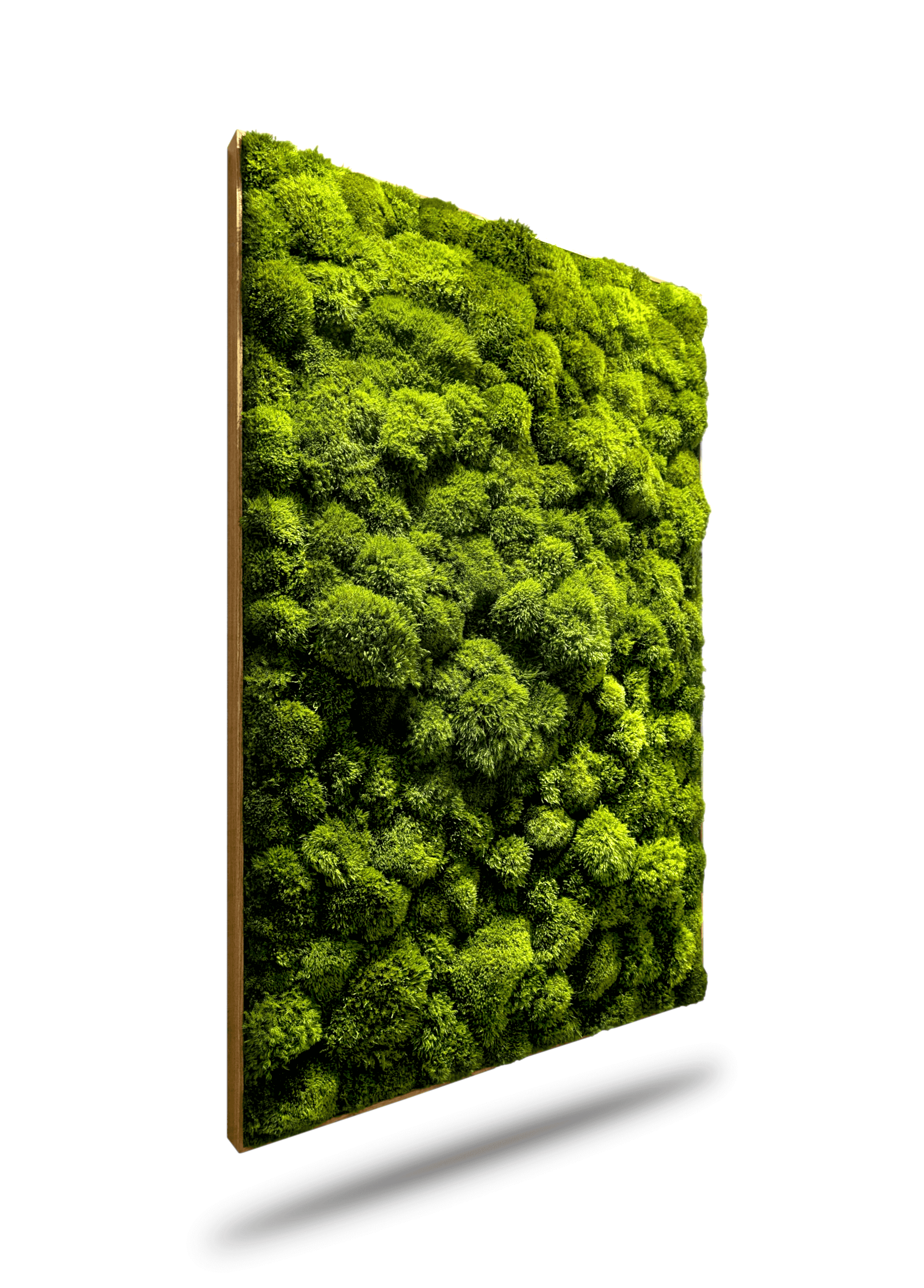 Natürliches Moosbild "Green Provence" in frischem Grün, eingefasst in einem eleganten Echtholzrahmen.