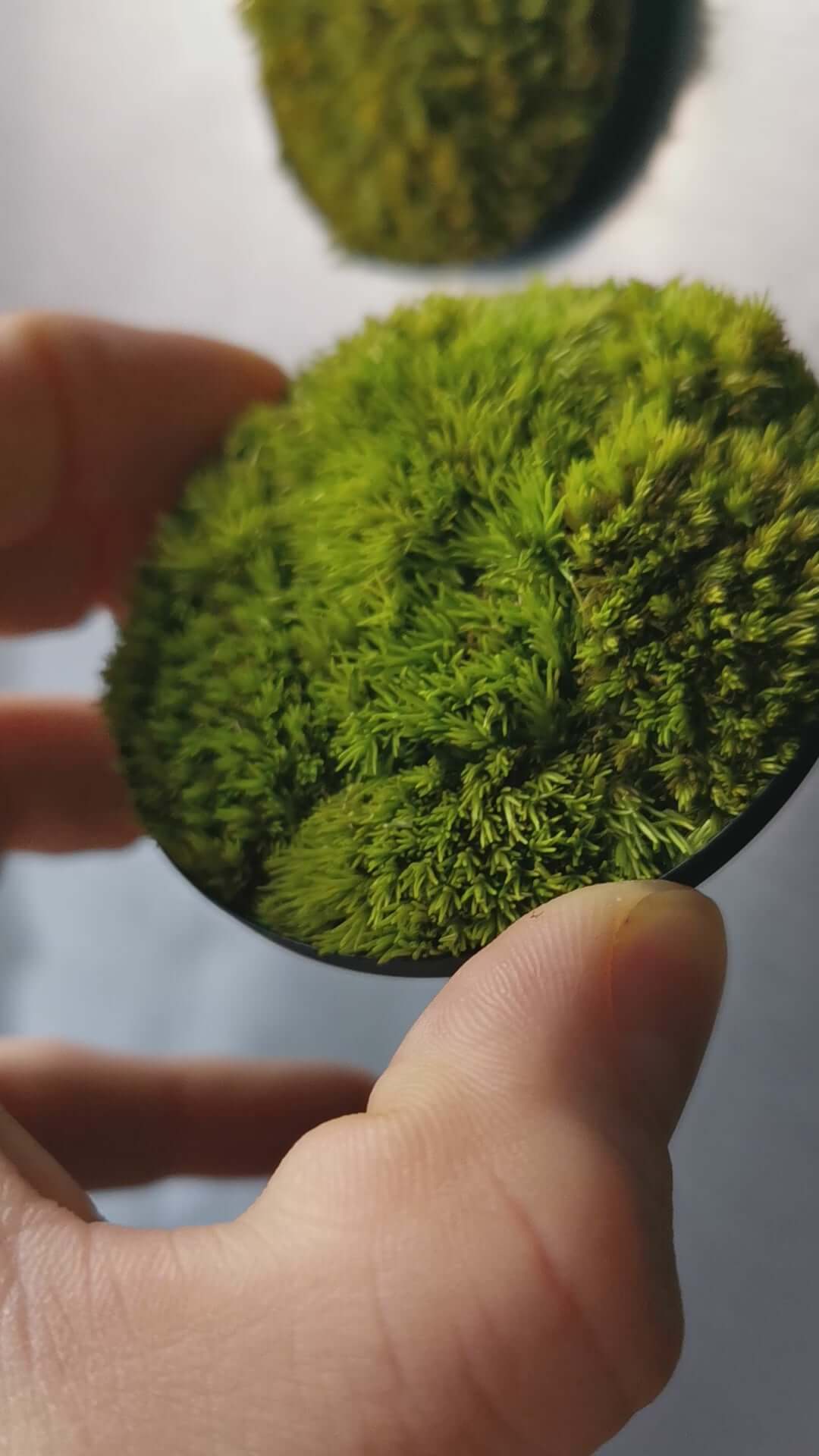Nahaufnahme eines kleinen Moosbildes "Little Hills" in der Hand, ideal für Kühlschrank und Wanddekoration.