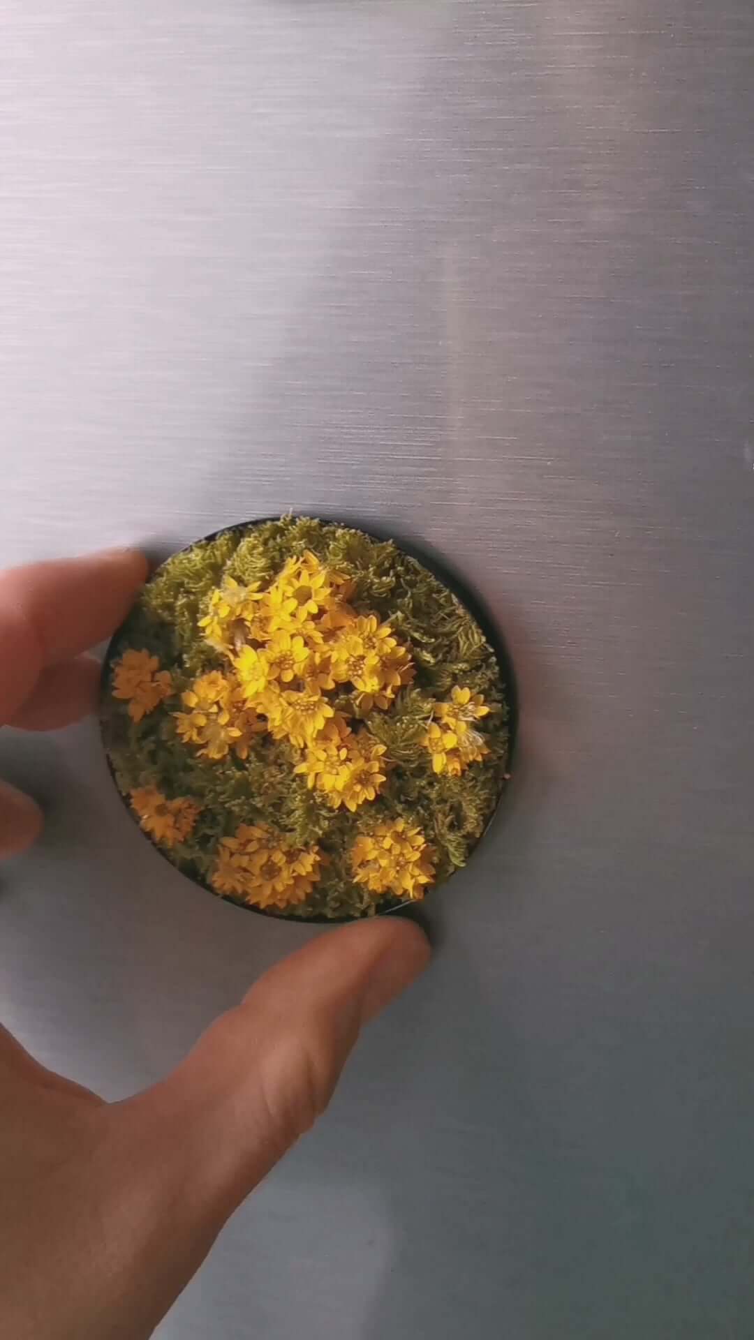 Magnetisches Pflanzenbild 'Sunny Flower' mit getrockneten Blumen und Moos, in Hand gehalten.