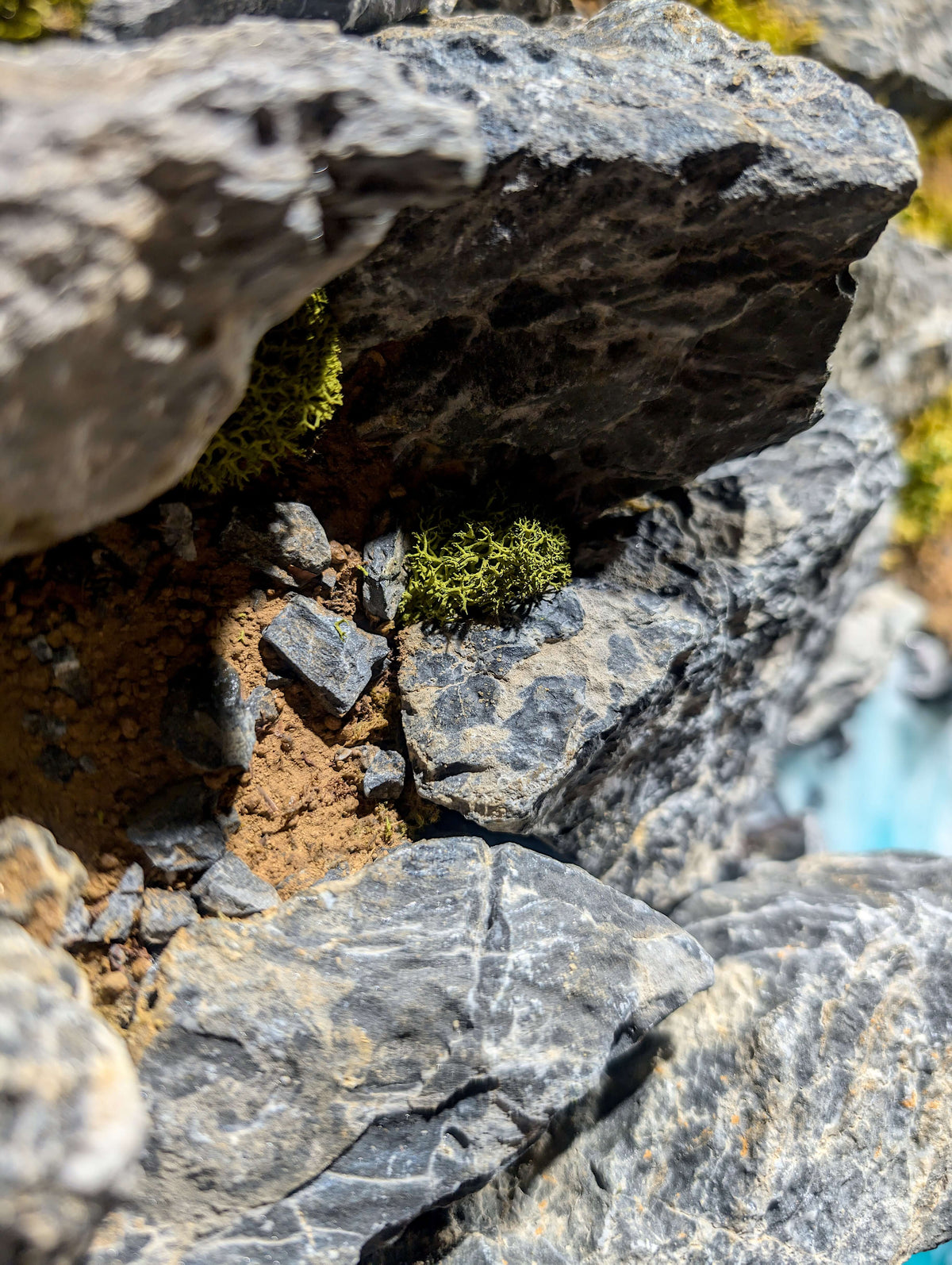 Close-up of preserved moss and rocks in a Scandinavian-inspired wall art design.