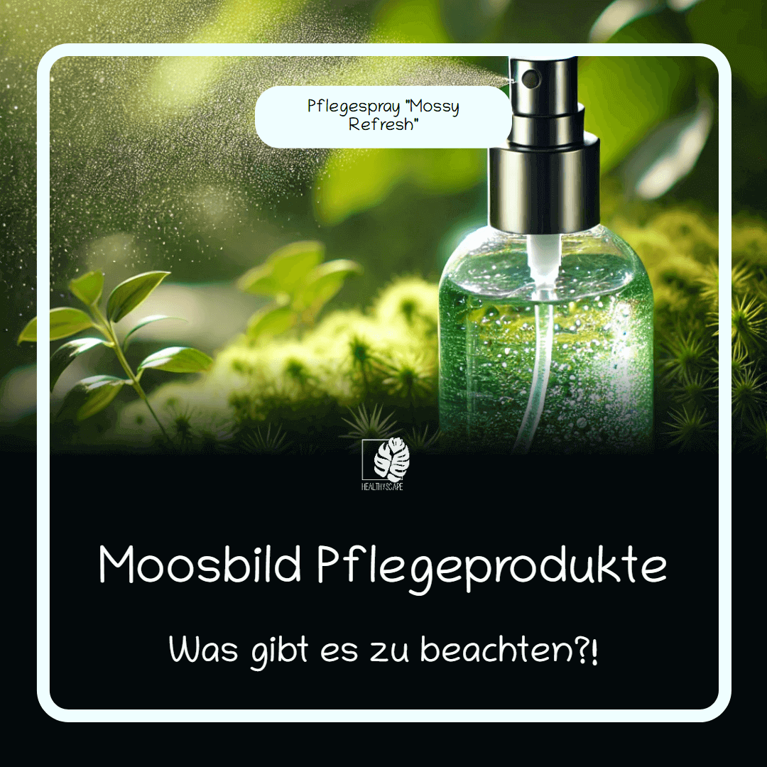 Mossy Refresh Pflegespray für Moosbilder, umgeben von grünen Blättern und Moos. Hinweise zu Pflegeprodukten.