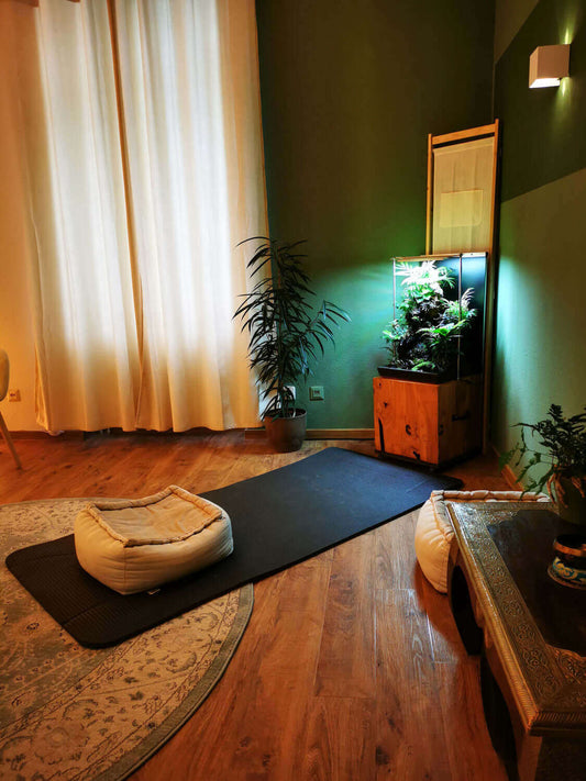 Cozy indoor meditation space with plants, soft seating, and natural light, promoting mental well-being.