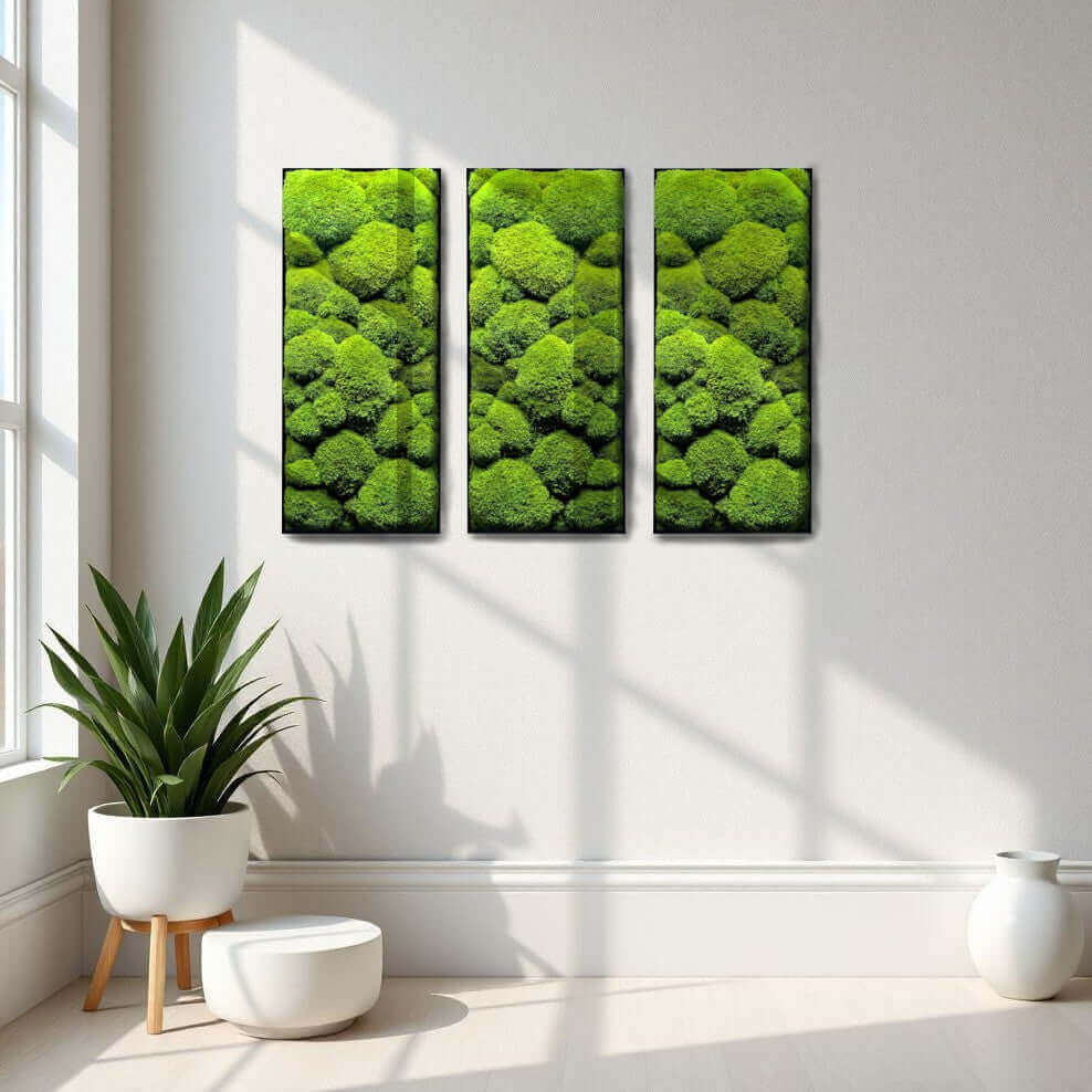 Three-panel moss wall art featuring lush green moss, enhancing indoor space with natural aesthetics.
