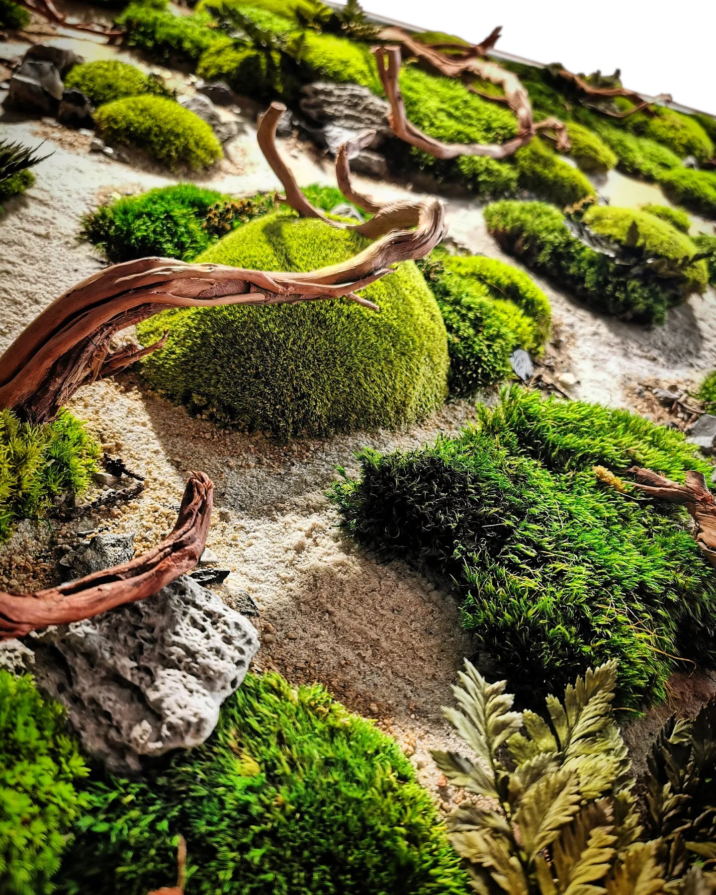 Image en bois sur mesure en mousse « Lit de rivière séché » - œuvre d'art naturelle avec du bois, de vraies racines et des pierres - art mural dans un cadre en bois véritable