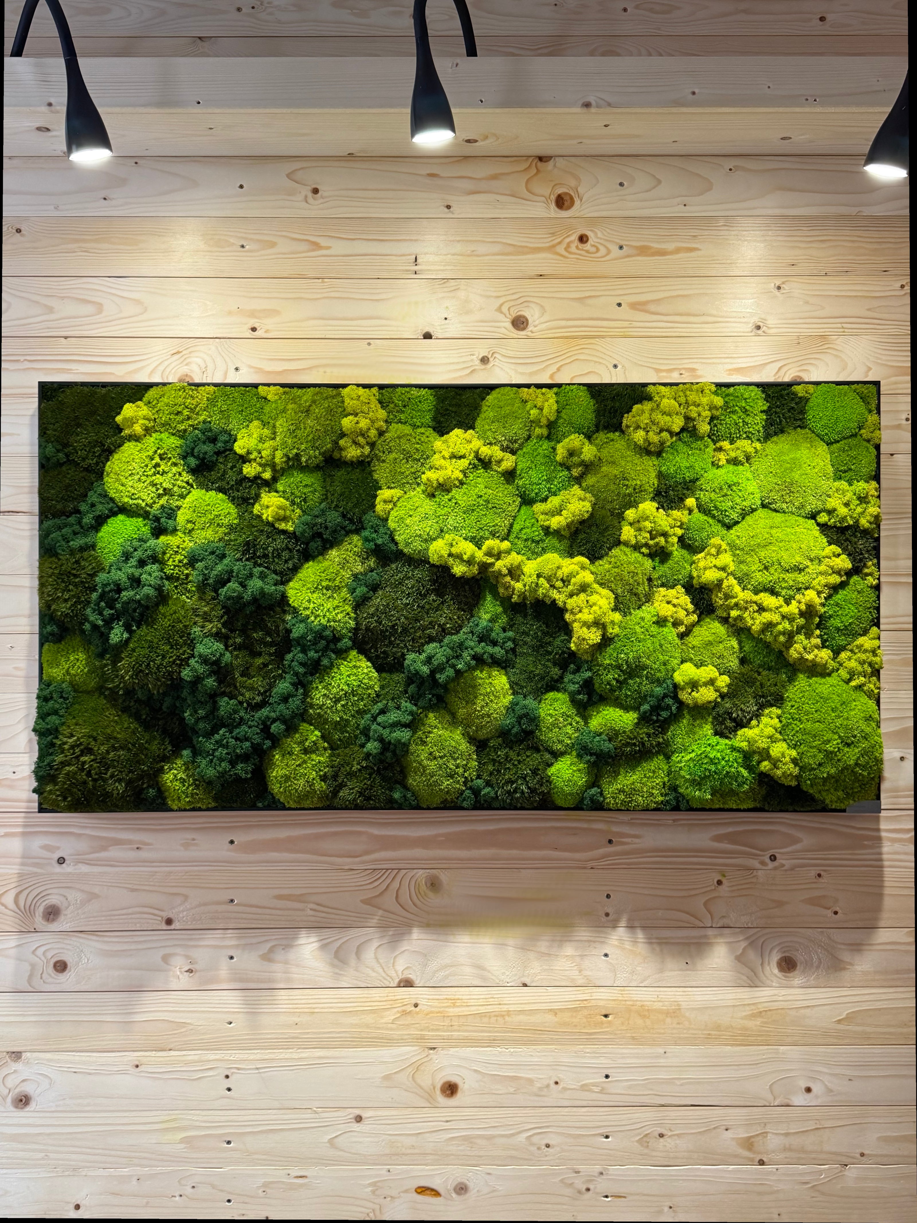 Moosbild mit Kugelmoos & Rentiermoos - Forest Flow auf Holzwand, harmonischer Grünton Farbverlauf.
