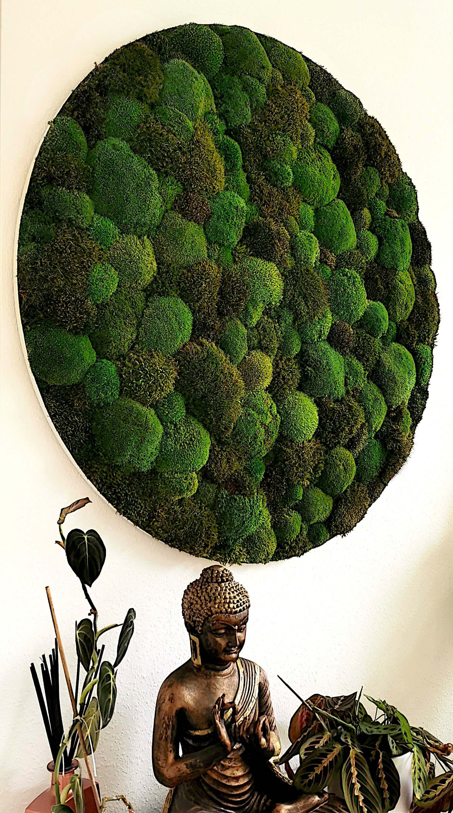 Rundes Moosbild "Moos Mix" im modernen Alurahmen, umgeben von Zimmerpflanzen und Dekoration in der Nahaufnahme