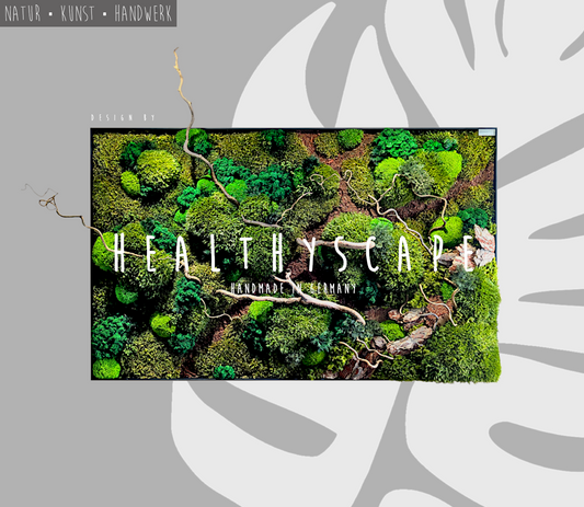 Custom-made moss picture forest picture "Forest Paths Autumn" - plant picture in a modern slim frame (80-200cm) - natural artwork with real roots