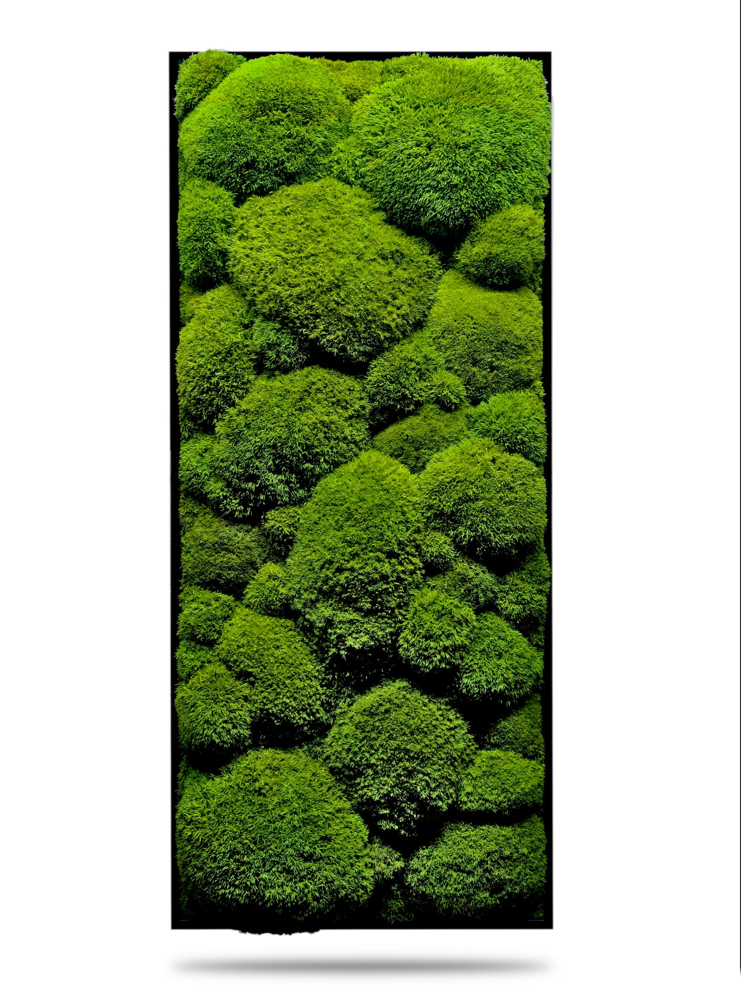 Custom-made large moss picture XXL 'Green Hills' for living room &amp; kitchen - moss mix plant picture 120-200cm