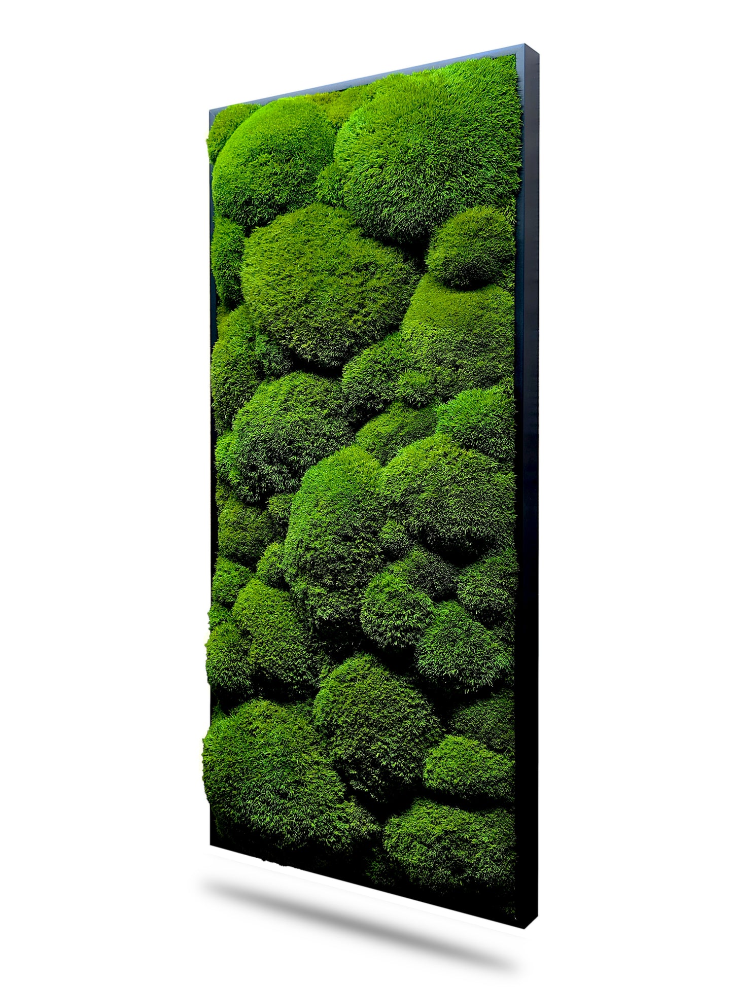 Custom-made large moss picture XXL 'Green Hills' for living room &amp; kitchen - moss mix plant picture 120-200cm