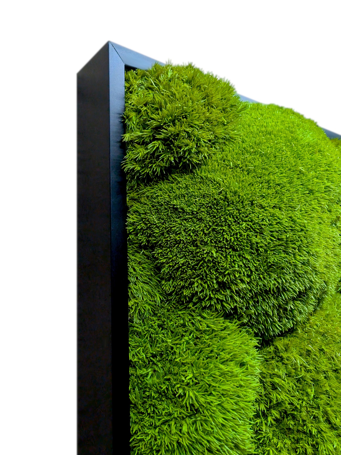 Custom-made large moss picture XXL 'Green Hills' for living room &amp; kitchen - moss mix plant picture 120-200cm