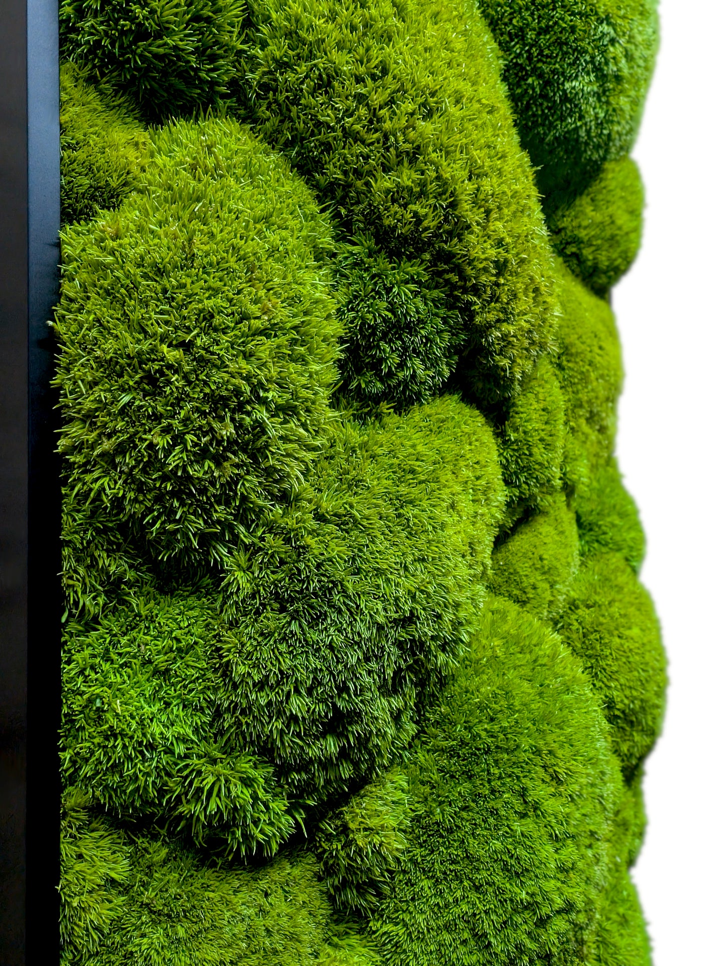 Custom-made large moss picture XXL 'Green Hills' for living room &amp; kitchen - moss mix plant picture 120-200cm