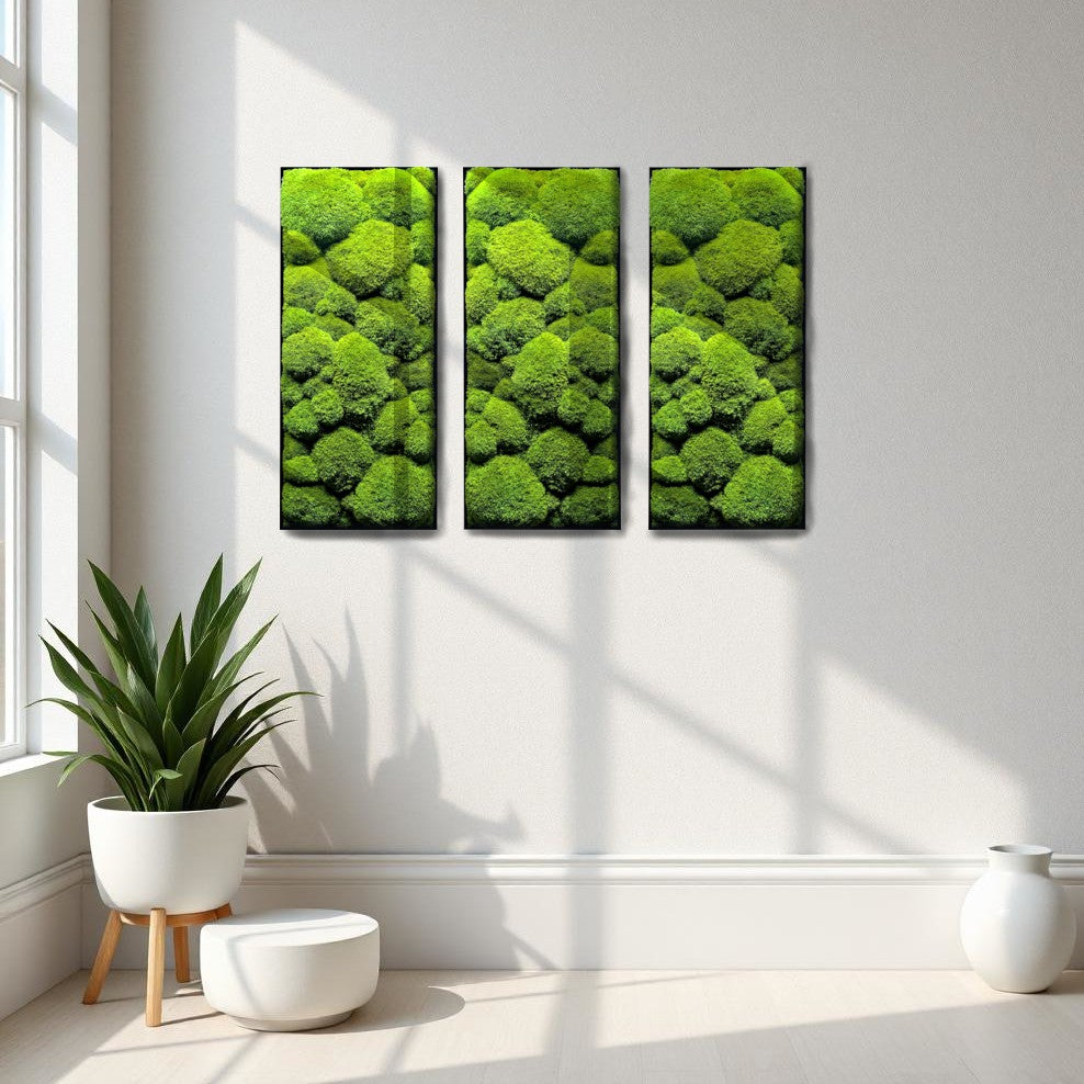 Custom-made large moss picture XXL 'Green Hills' for living room &amp; kitchen - moss mix plant picture 120-200cm