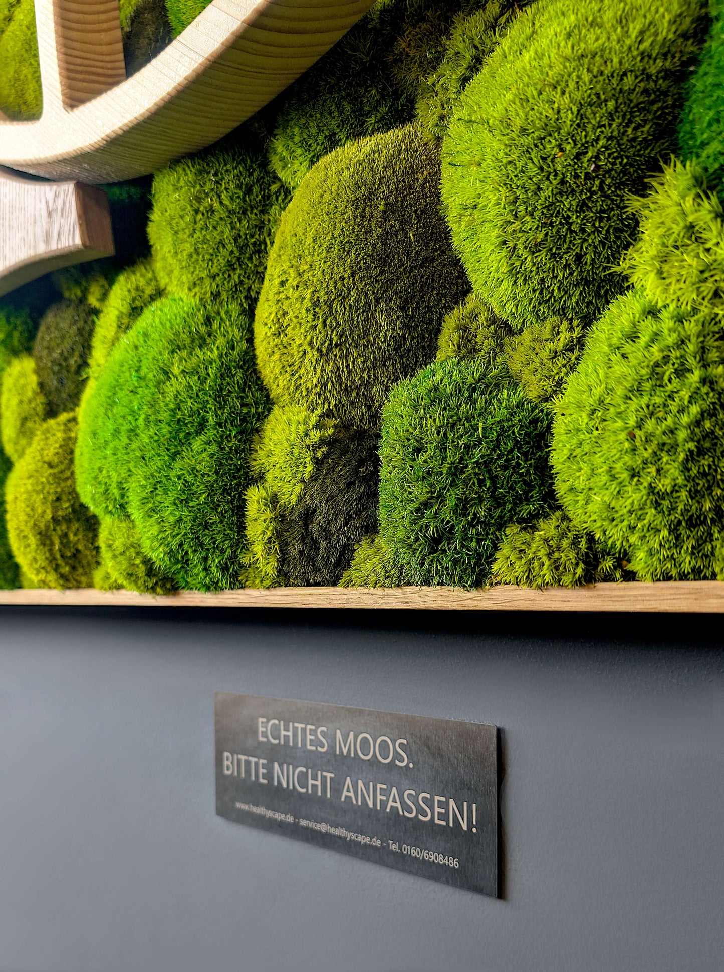 Moosbild mit Firmenlogo aus Fichte und Eiche mit Hinweisschild