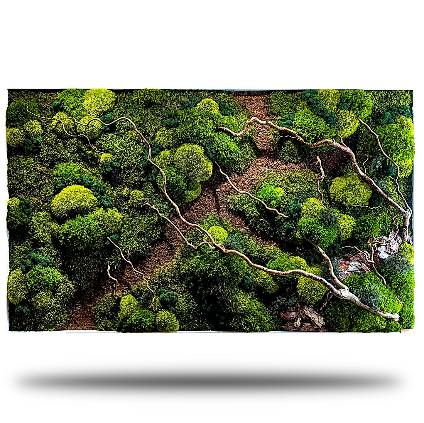 Moosbild "Waldspaziergang" mit Korkenzieher Haselzweigen