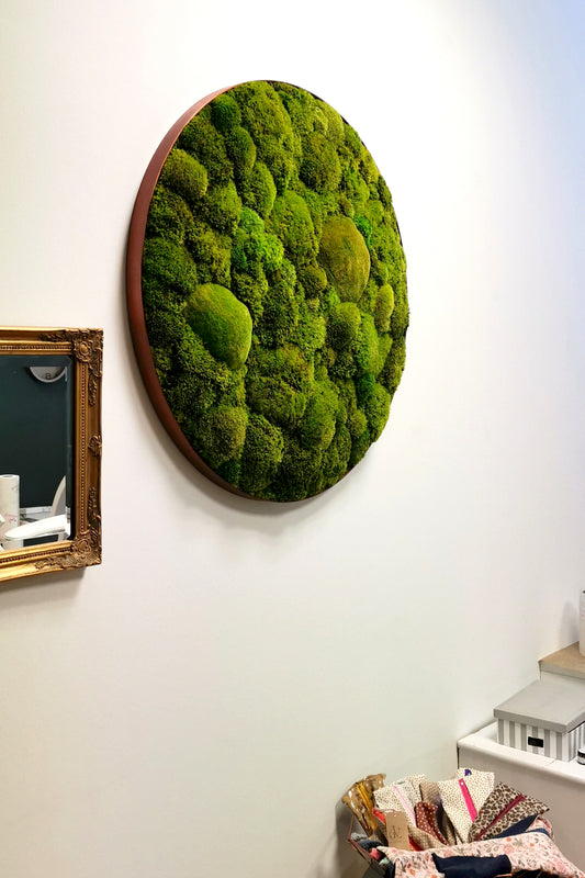 Moosbild „Lime Green“ – Rundes Pflanzenbild mit Limettengrünem Kugelmoos