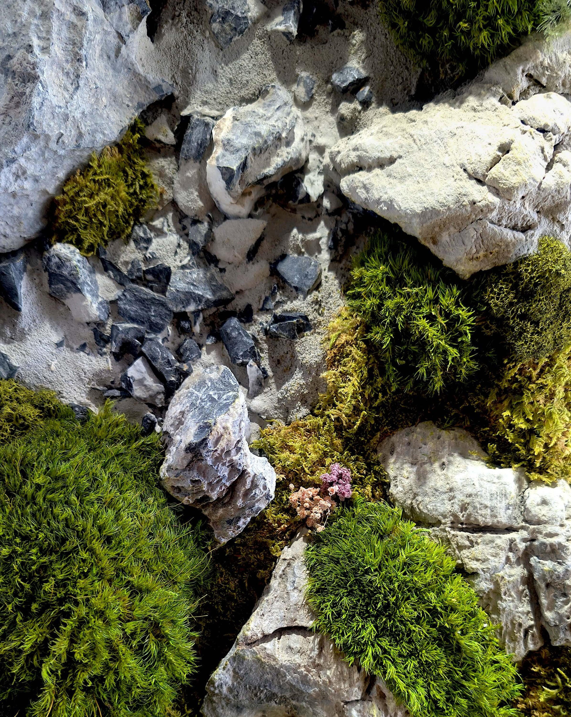 Alpiner Bergsee aus Moos Holz & Epoxidharz - Healthyscape, detaillierte Ansicht von Moos und Gesteinen.