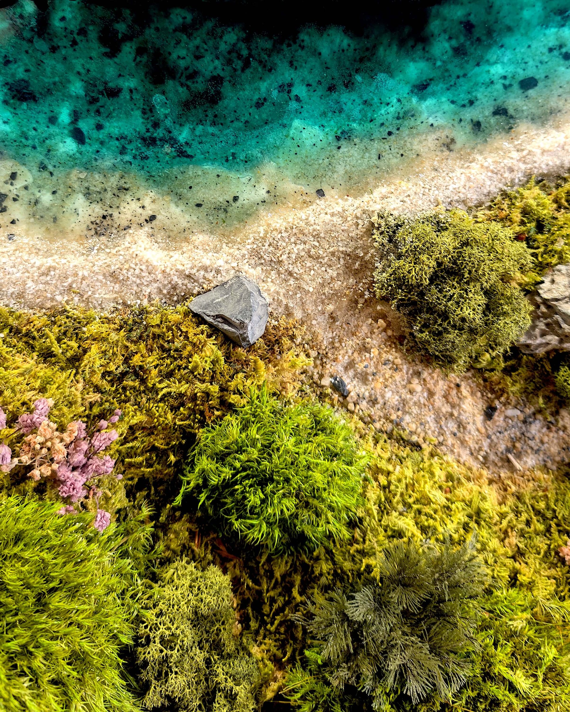 Alpiner Bergsee aus Moos Holz & Epoxidharz - Healthyscape, detailreiche Darstellung einer Bergseelandschaft aus Moos.