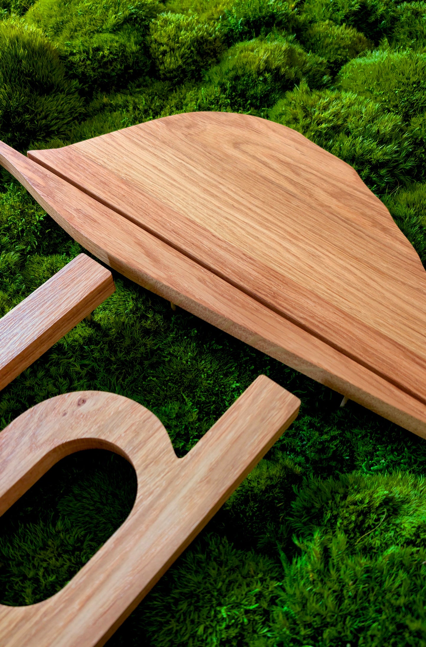Provence Moosbild mit Holzlogo aus Fichte oder Eiche