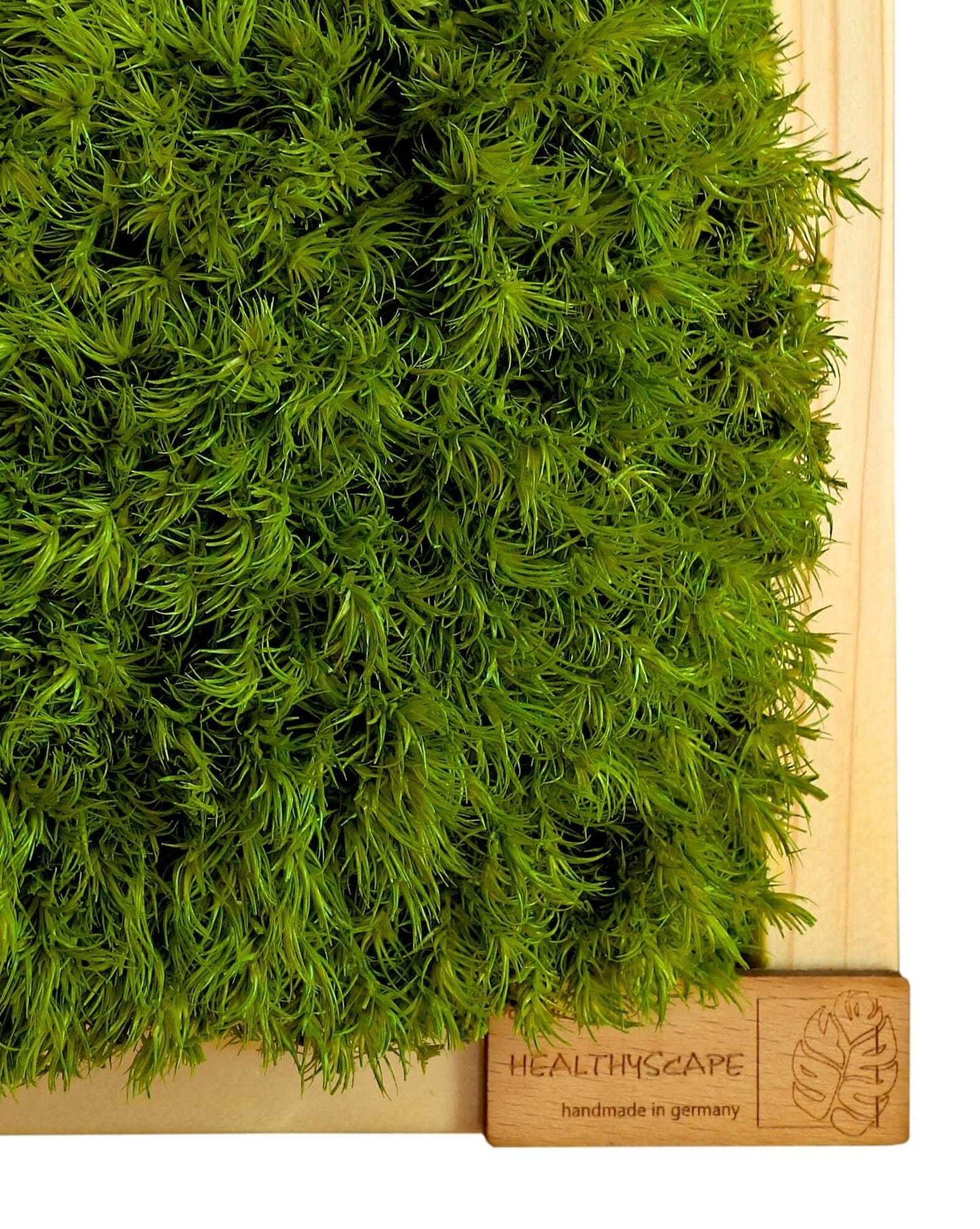 Provence Moosbild mit Holzlogo aus Fichte oder Eiche