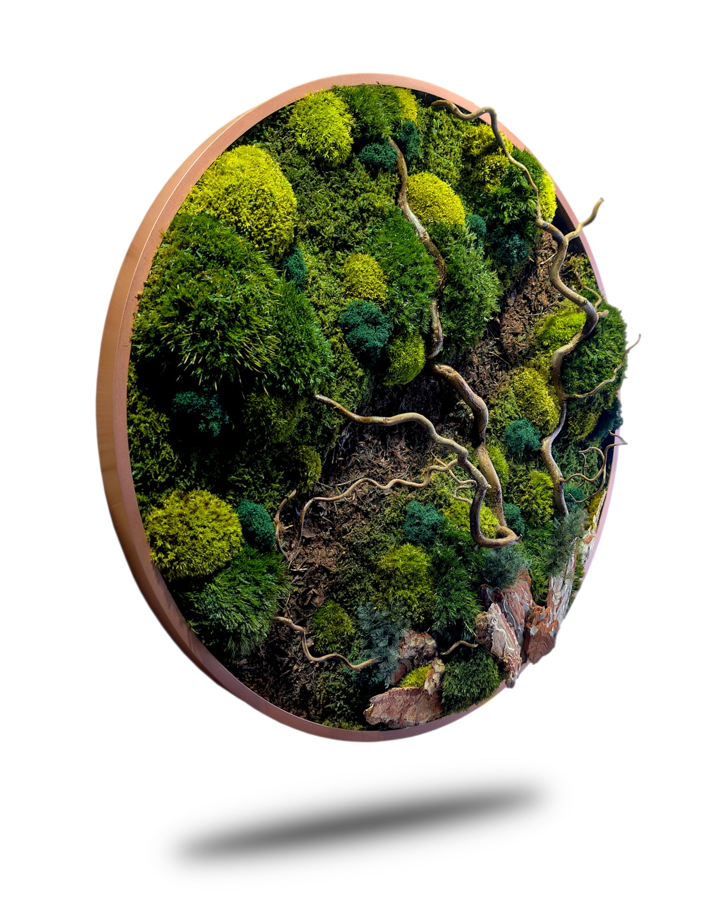 Rundes Moosbild Waldspaziergang mit Korkenzieher-Haselzweigen in runder Form und satten Grüntönen.