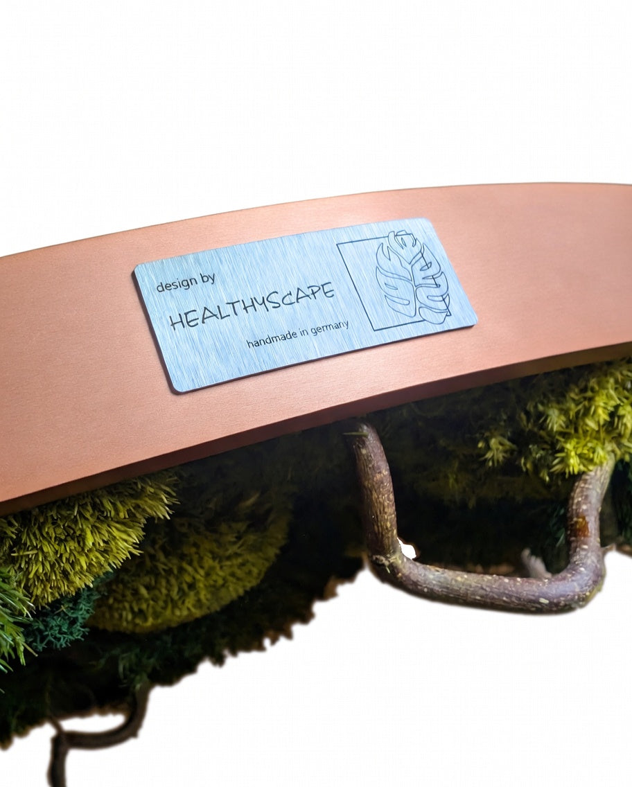 Rundes Moosbild Waldspaziergang mit Korkenzieher-Haselzweigen von HEALTHYSCAPE, handgemacht in Deutschland.